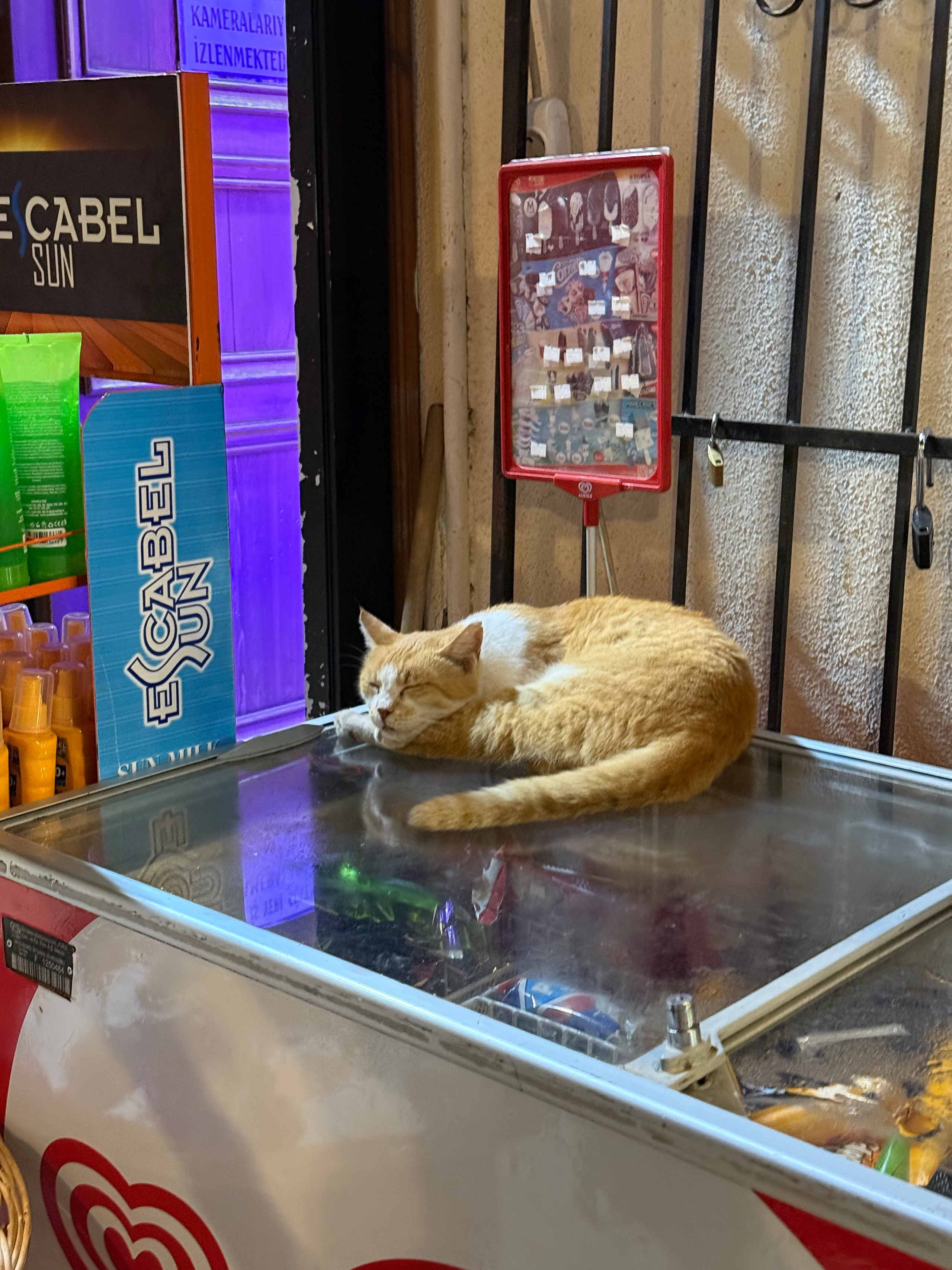 9 Tage in der Türkei: Entspannt und locker. Zwei Tage in jeder Stadt: Istanbul, Antalya, Kaş und ein Villenaufenthalt mit Bergblick