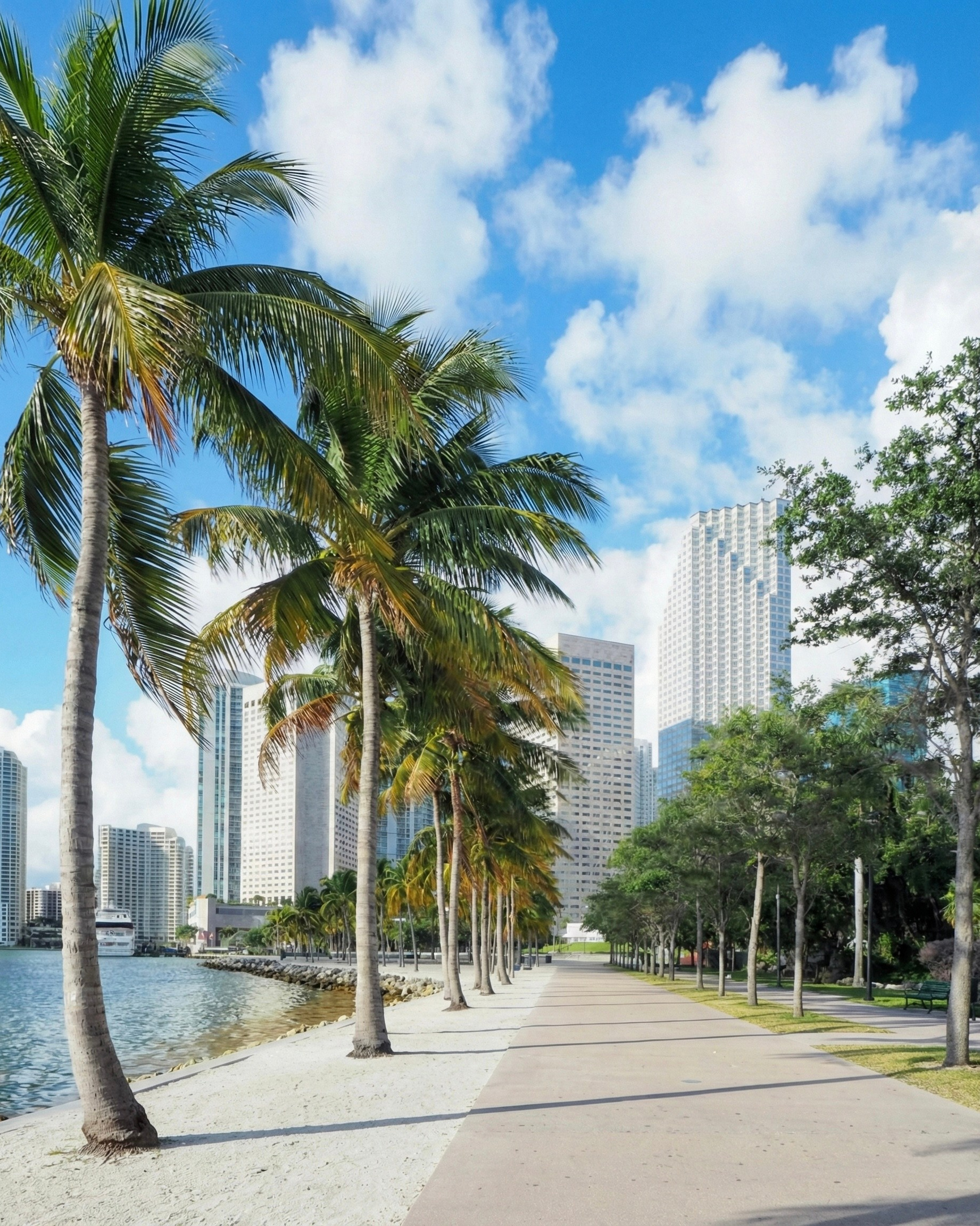 10 Best Spots in Miami for Engagement and Proposal Photoshoot. Stefanovich Photography | Miami, FL