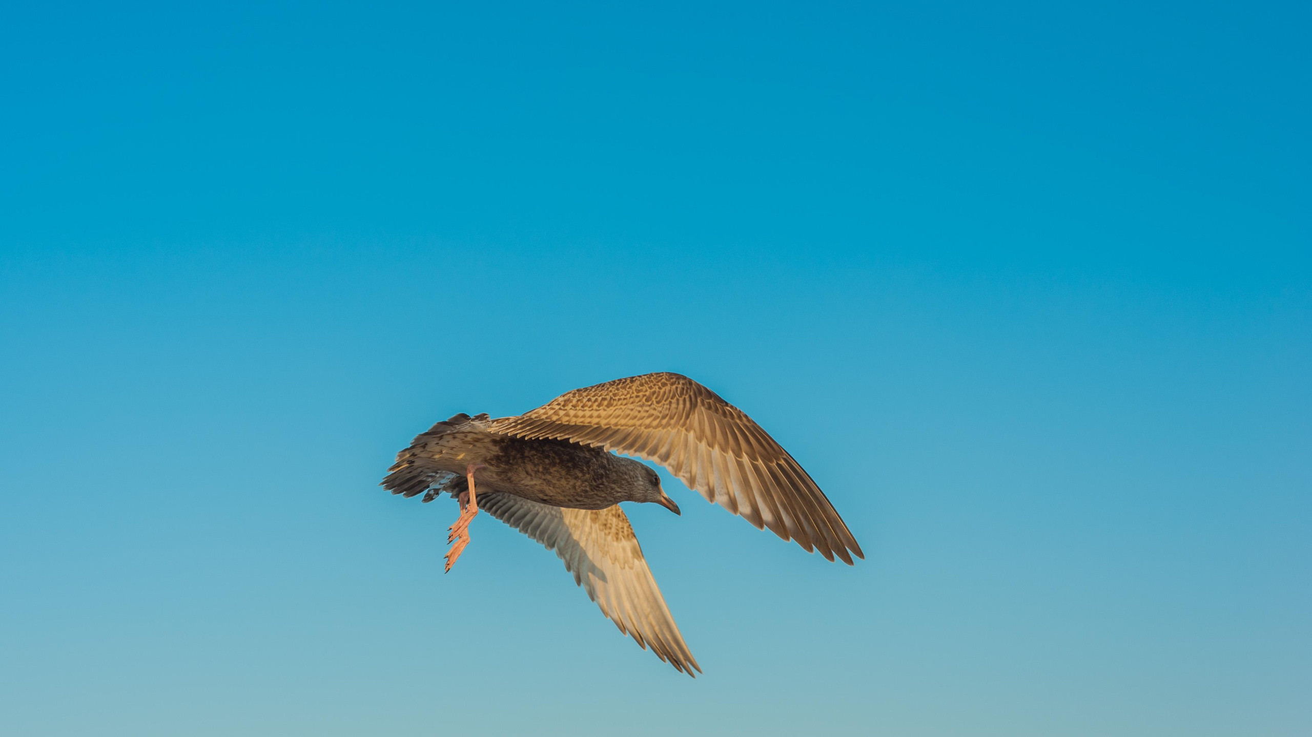 IMPRESSUM. Fotografin aus NRW
