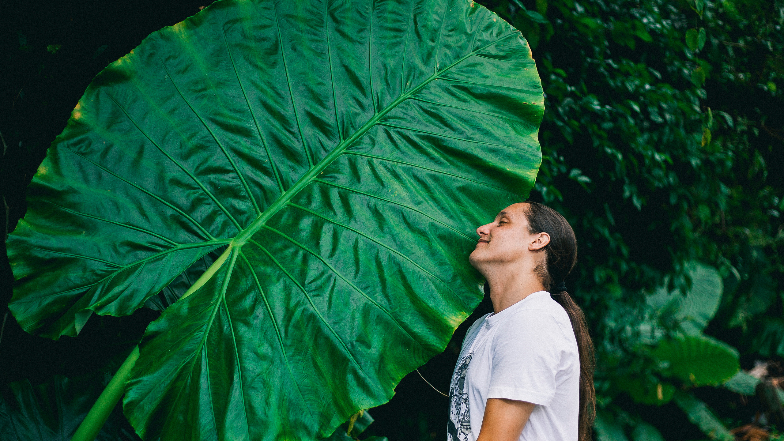 Marko Smiljanic Biografija. Mark Smilyanic | Portretni boudoir fotograf iz Beograda