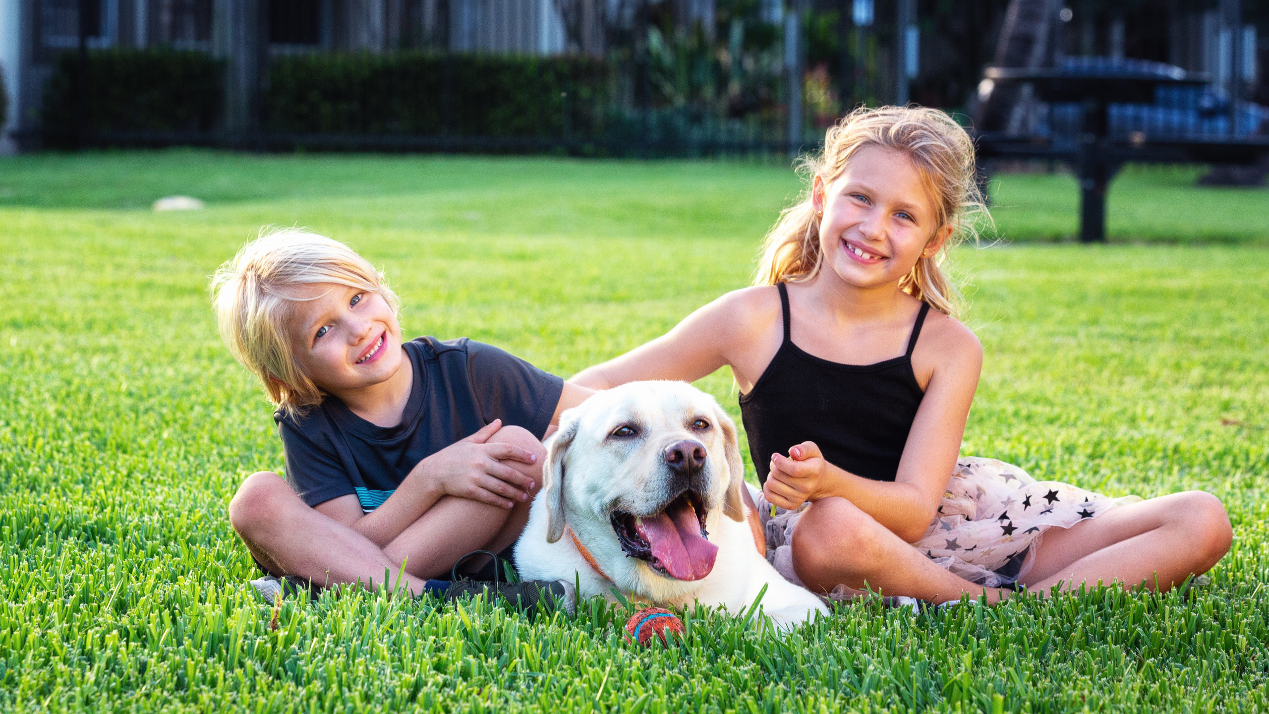 Pet Photography. Pet, Senior, Landscape, portrait studio, photographer in Miami and Sou