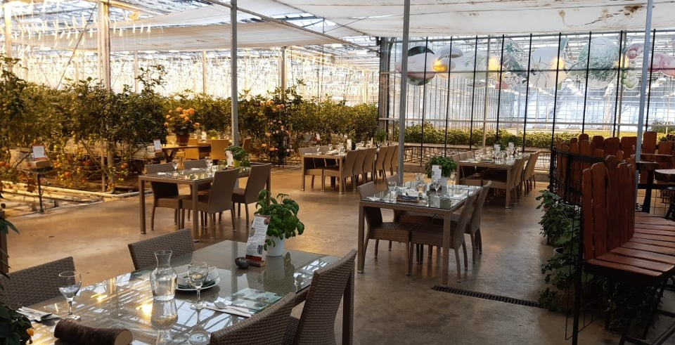 Top 10 best wedding venues in Iceland. Iceland elopement photo and video | Nikolaichik Photo