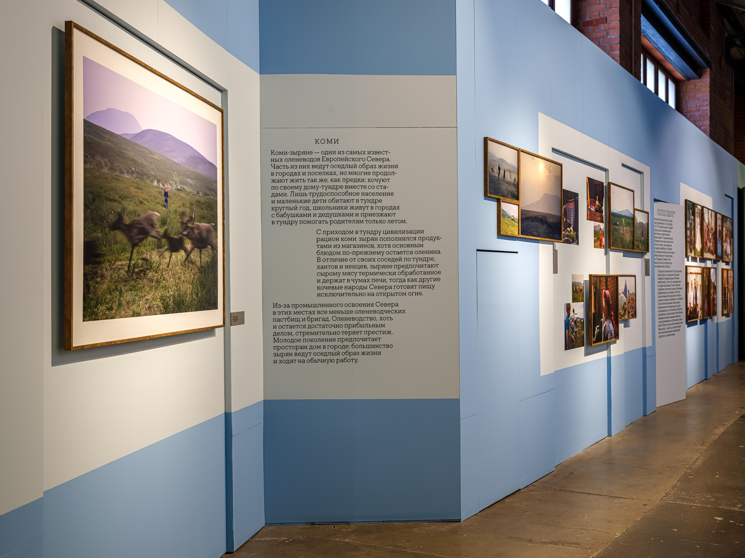 Exhibitions. Stanislava Novgorodtseva — Photographer | Visual Artist | Educator