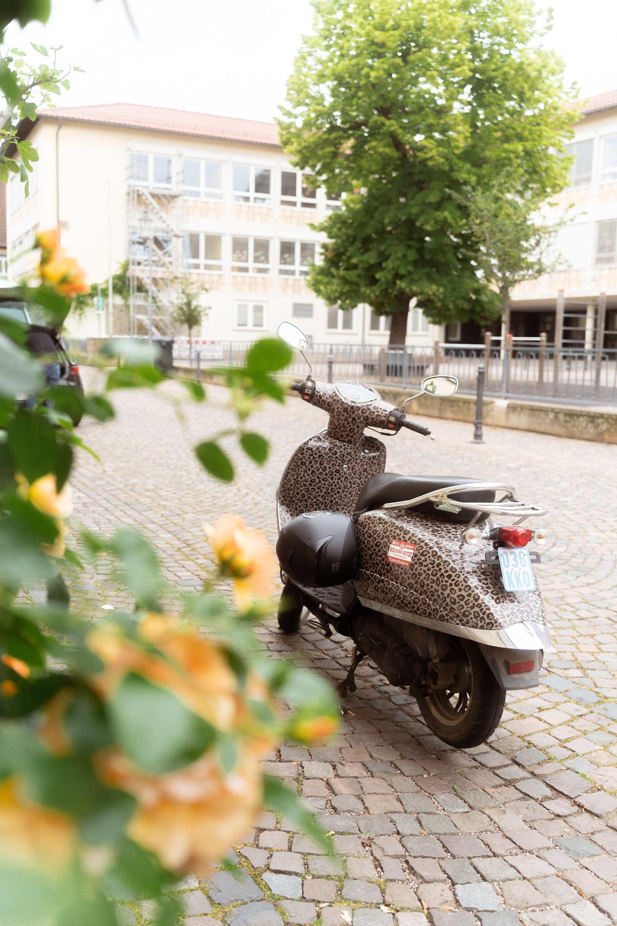 Deidesheim (Update). Aleksandr Steinbrenner | Streetfotografie