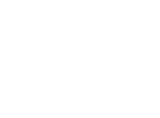 peopleinfocus.wfolio.pro