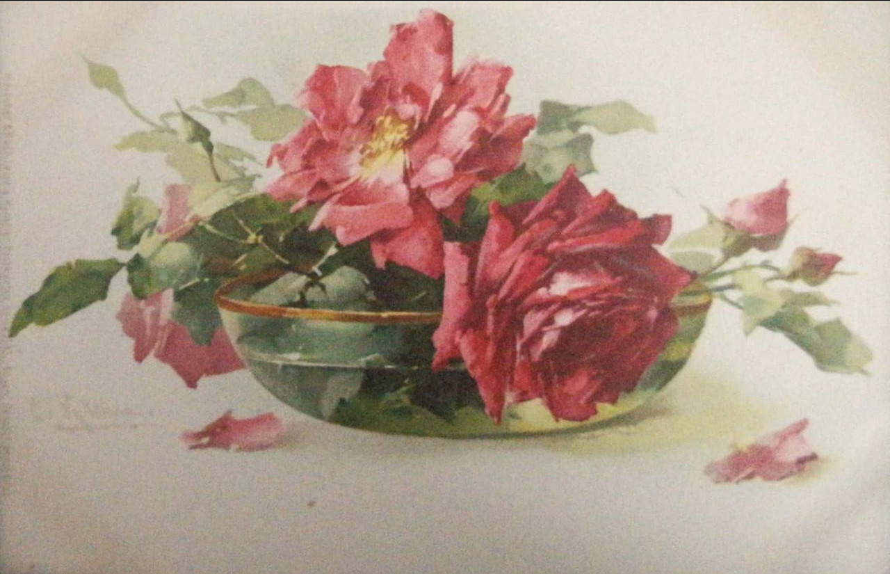 открытки-натюрморты Катерина Кляйн