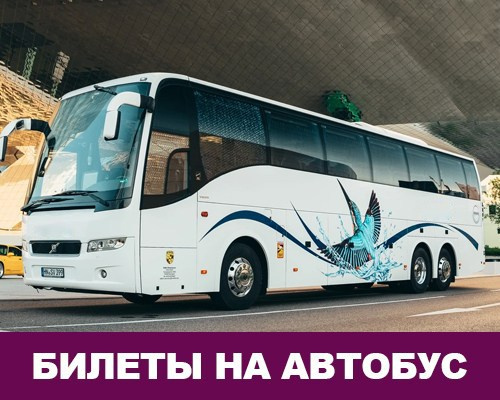 Билеты на автобус