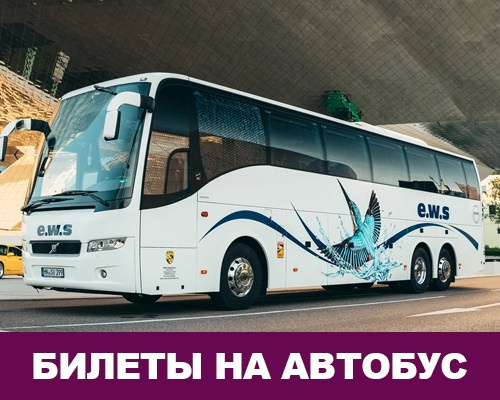 Билеты на автобус