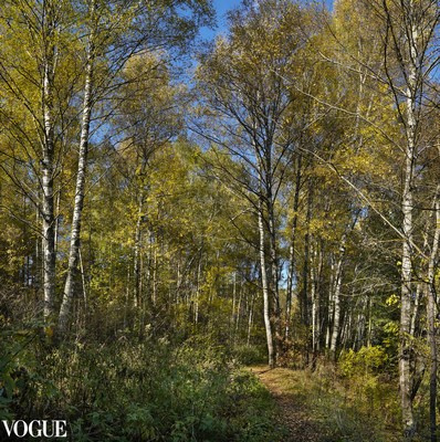 Суть фотографии в стиле изобразительного искусства