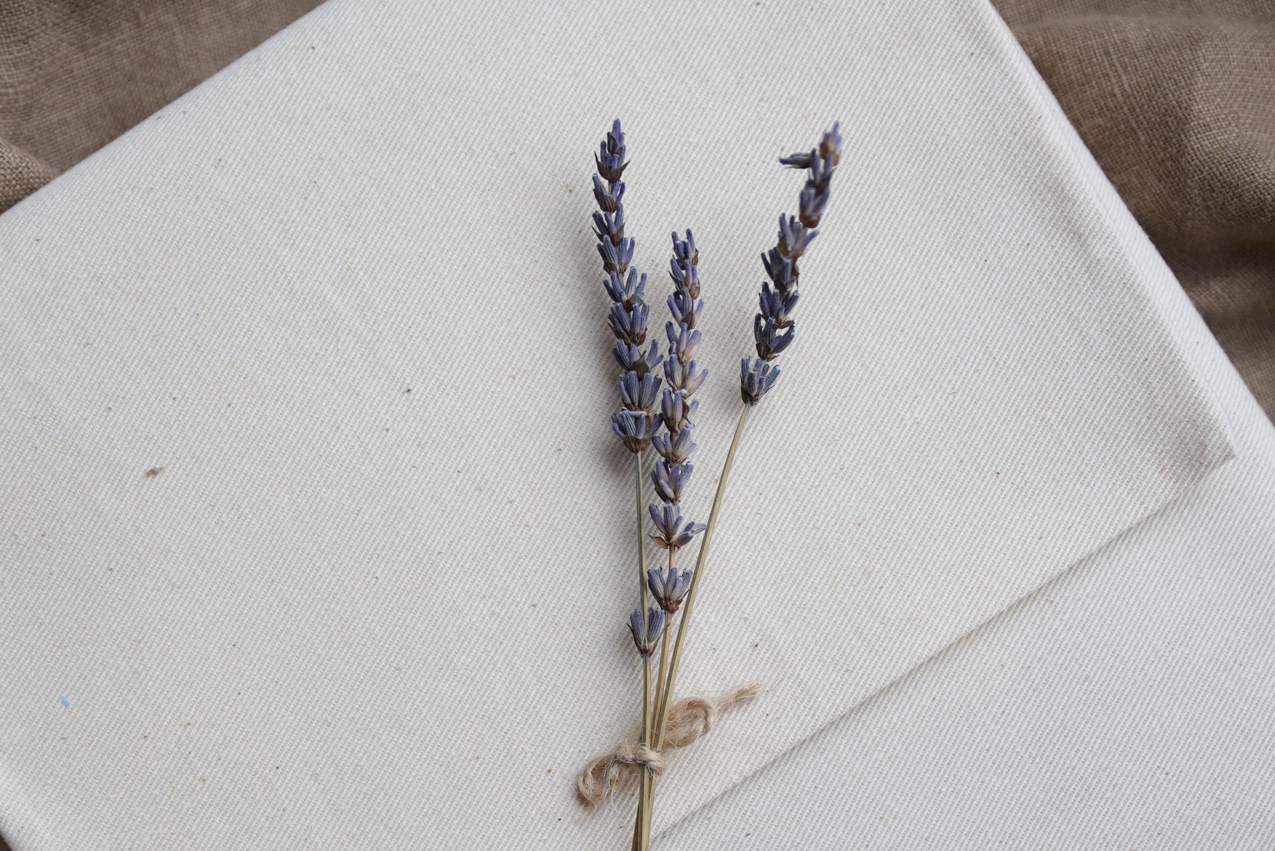 Pricing. Newborn and Family Photographer in Bromley, London, Liliya Potekhina