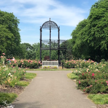 Best Places to Propose in Columbus, Ohio | Romantic Proposal Locations. Kovyphoto
