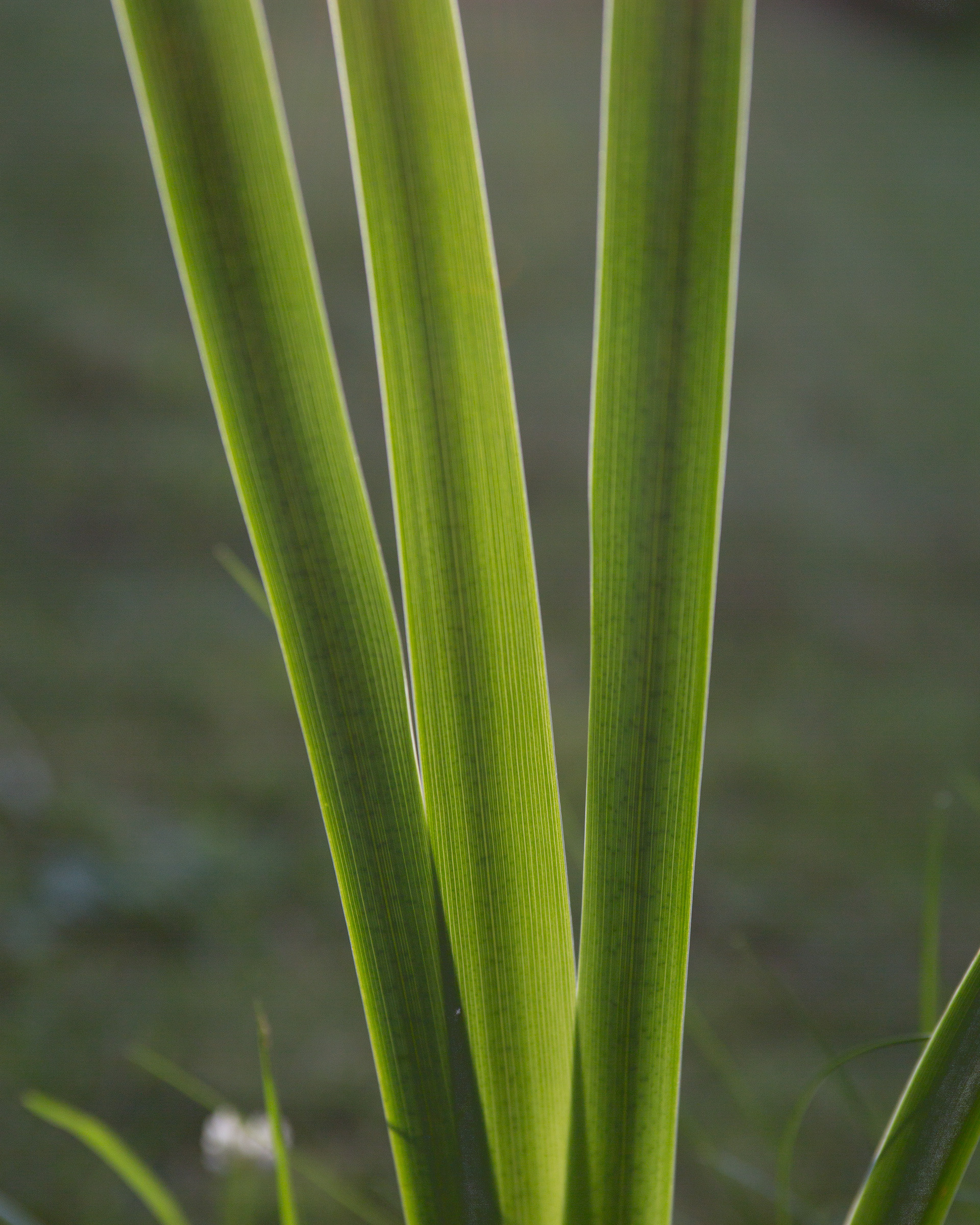 Highlights. Eugenia Ignatova multidisciplinary artist, photographer in Belgrade