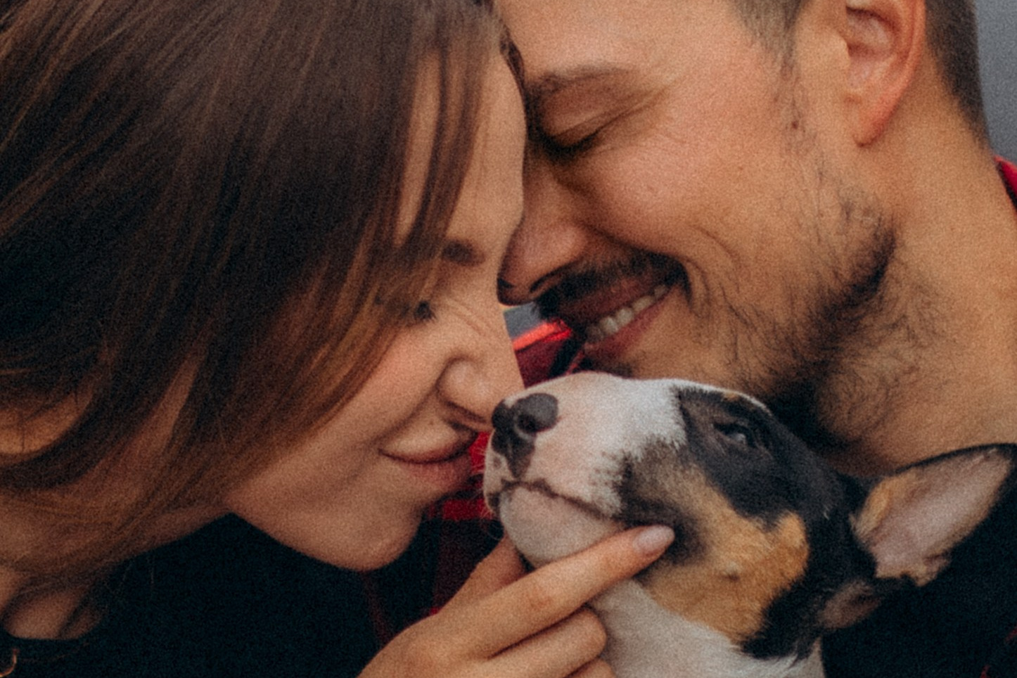 Про мене. Фотограф-анімаліст Київ