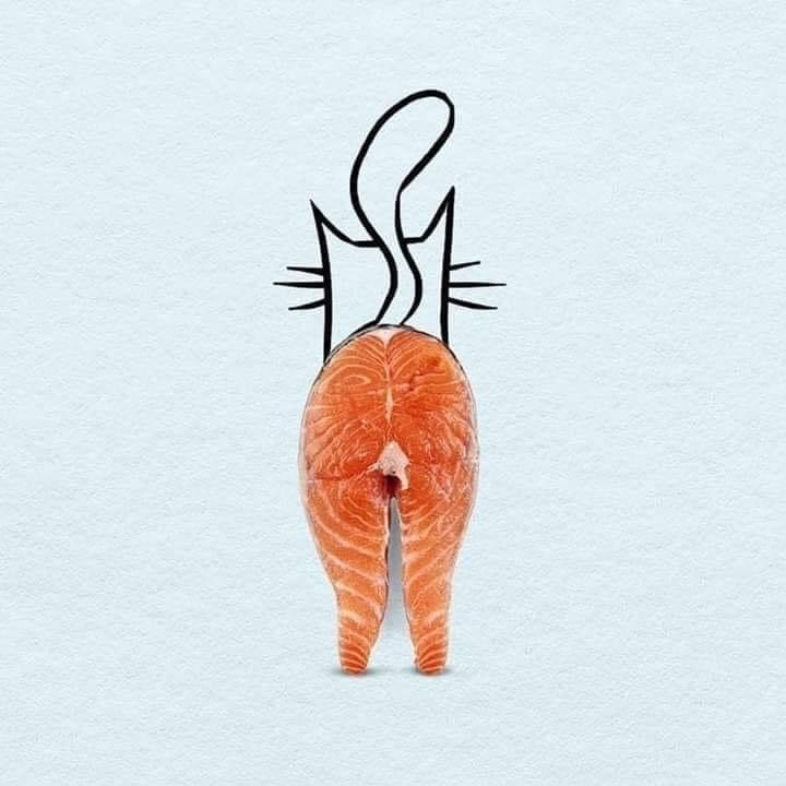 How everything is arranged in our cattery. A cattery of Canadian Sphynx breed, located in Limassol, Cyprus