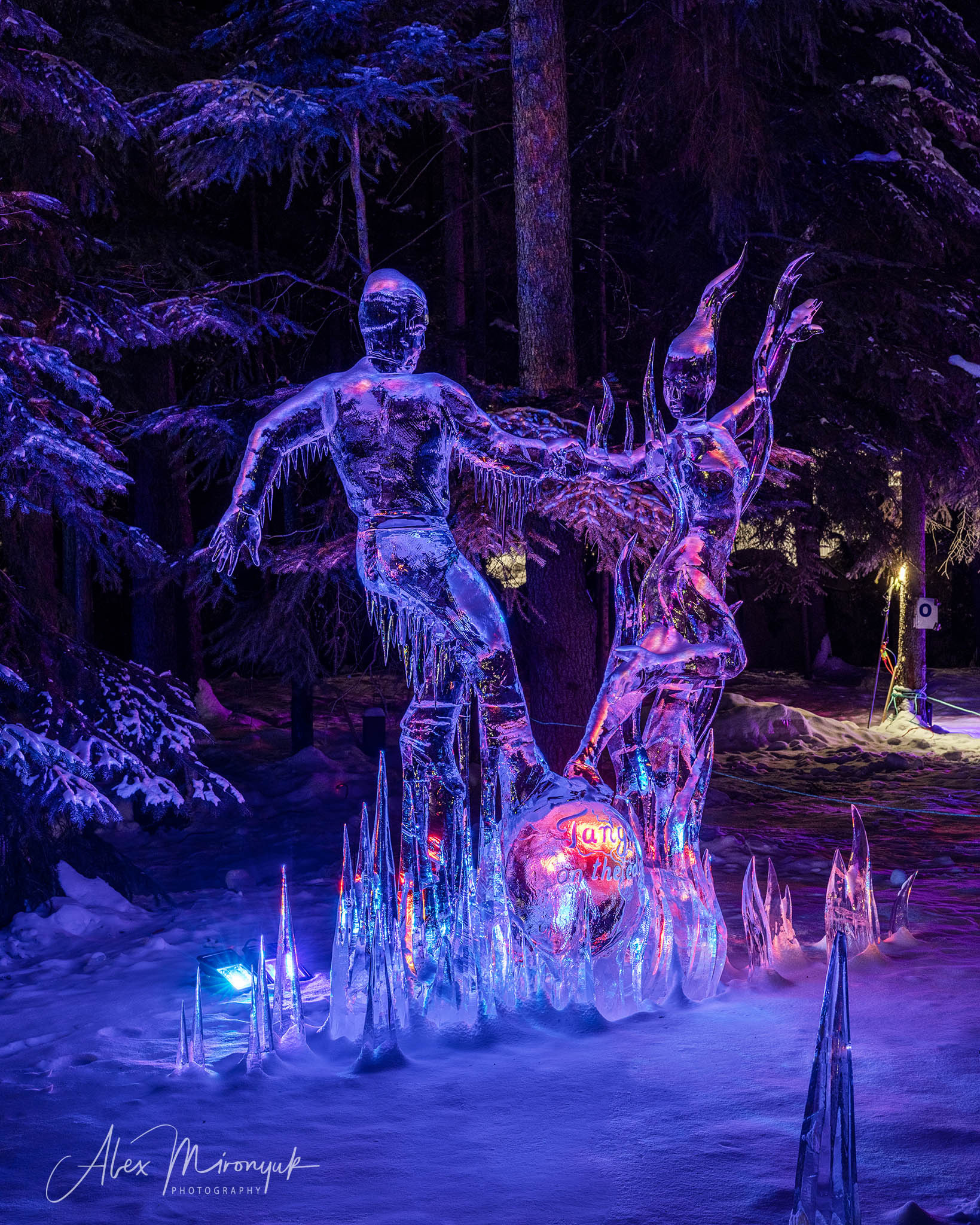 Ice Caves Adventure. Pet, Senior, Landscape, portrait studio, photographer in Miami and Sou