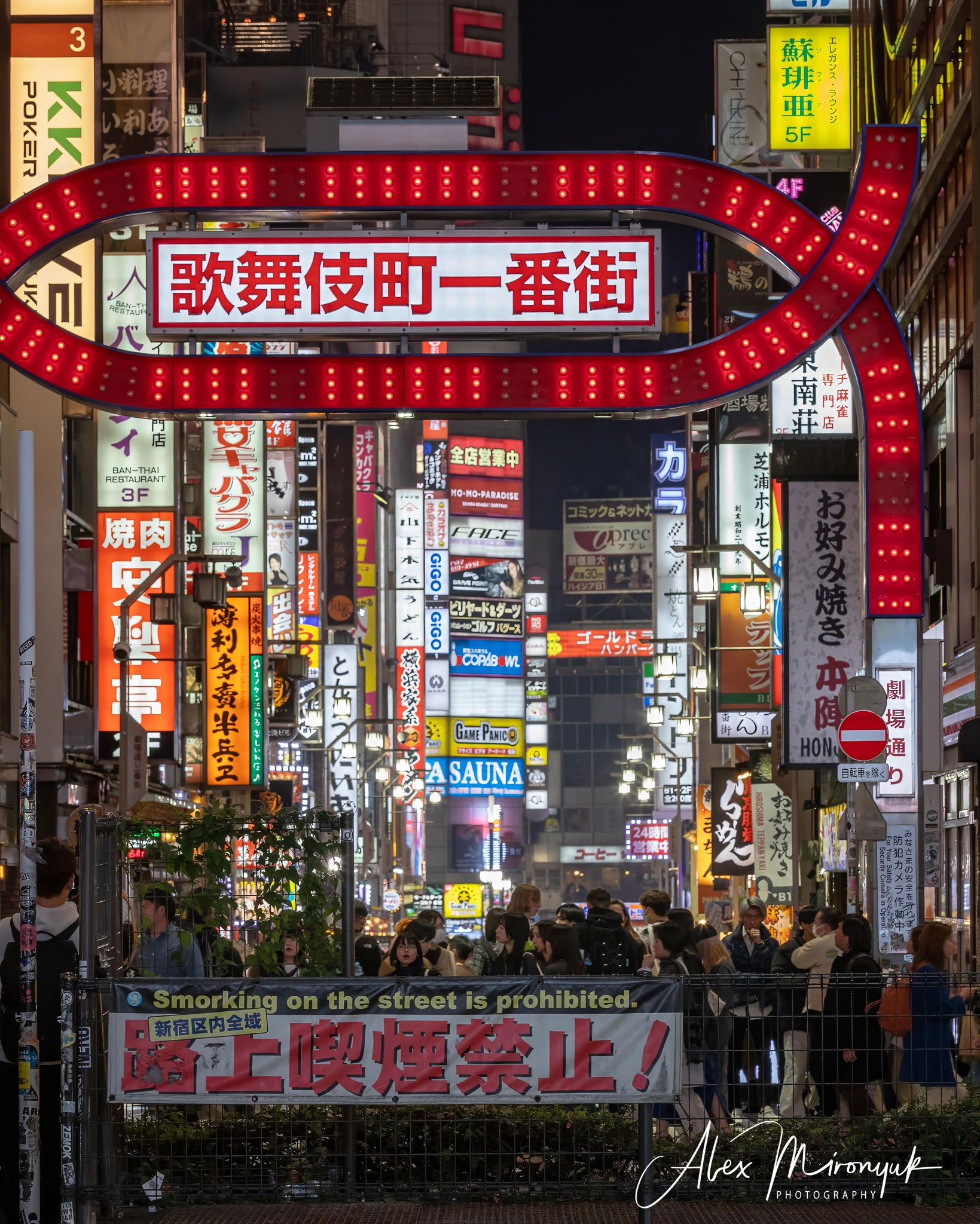 Hanami Season in Japan. Pet, Senior, Landscape, portrait studio, photographer in Miami and Sou