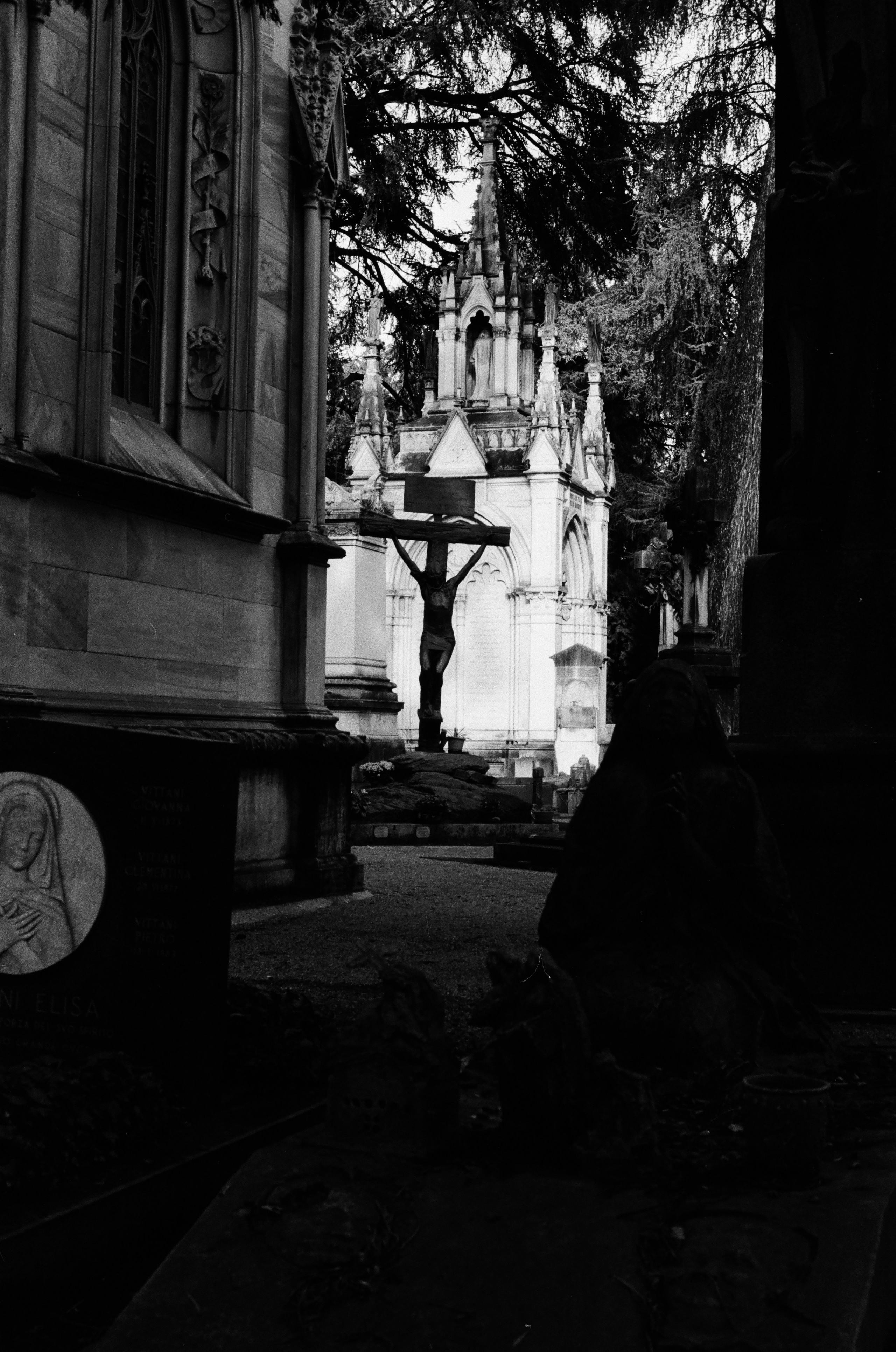 Monumentale. Anastasia Shapoval violoniste et photographe. Annecy — Geneve