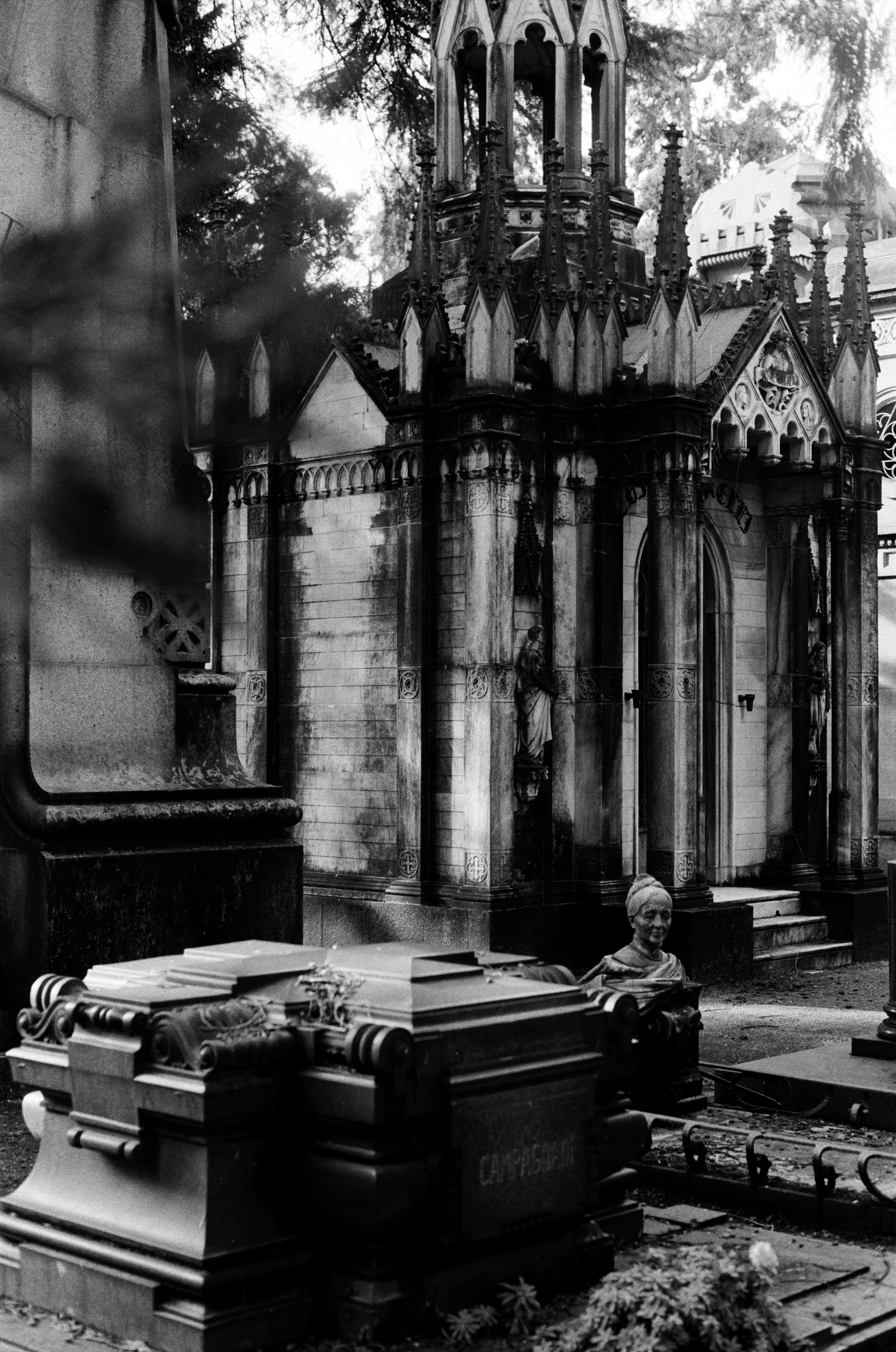 Monumentale. Anastasia Shapoval violoniste et photographe. Annecy — Geneve