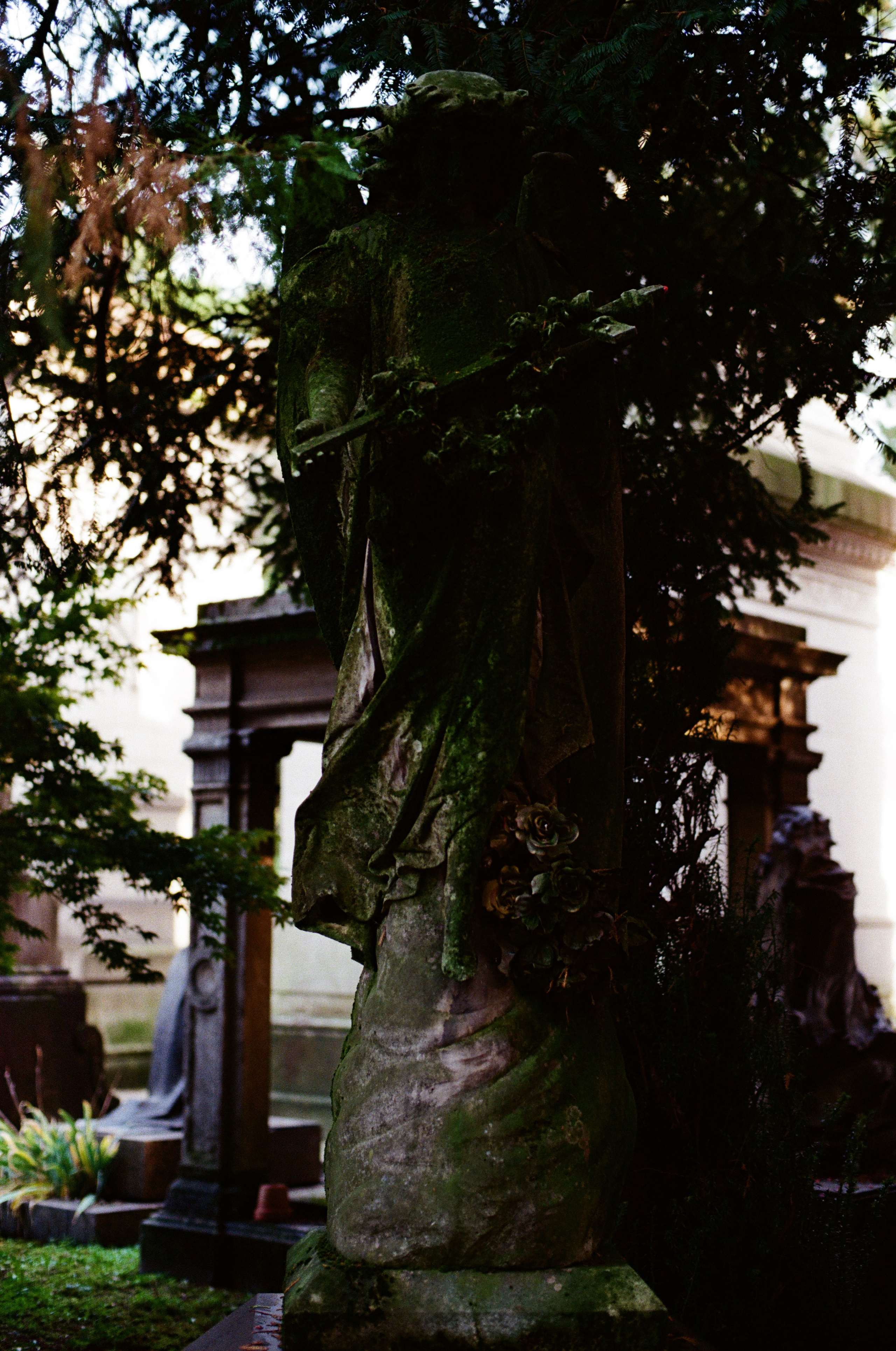 Monumentale. Anastasia Shapoval violoniste et photographe. Annecy — Geneve