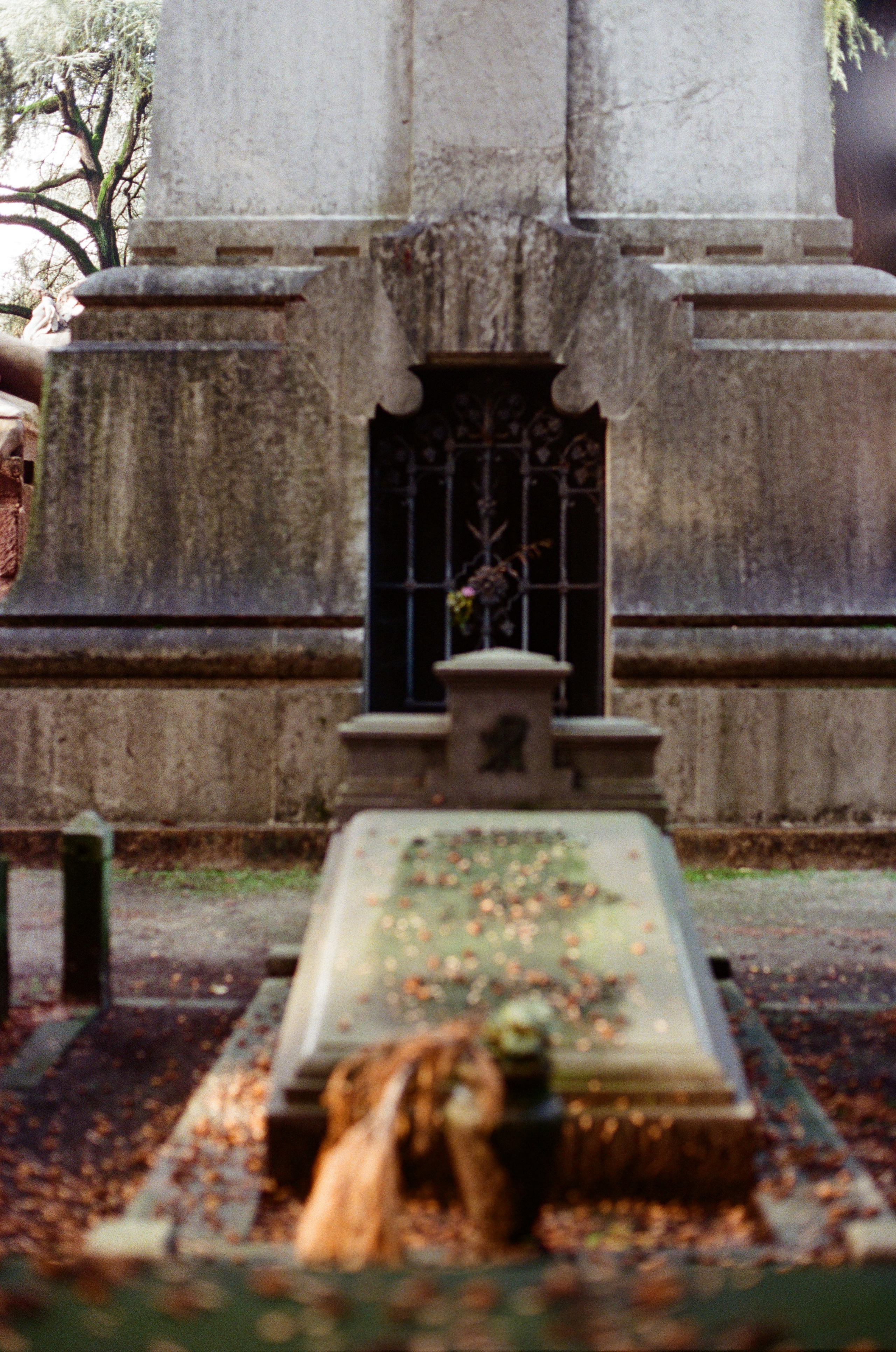 Monumentale. Anastasia Shapoval violoniste et photographe. Annecy — Geneve