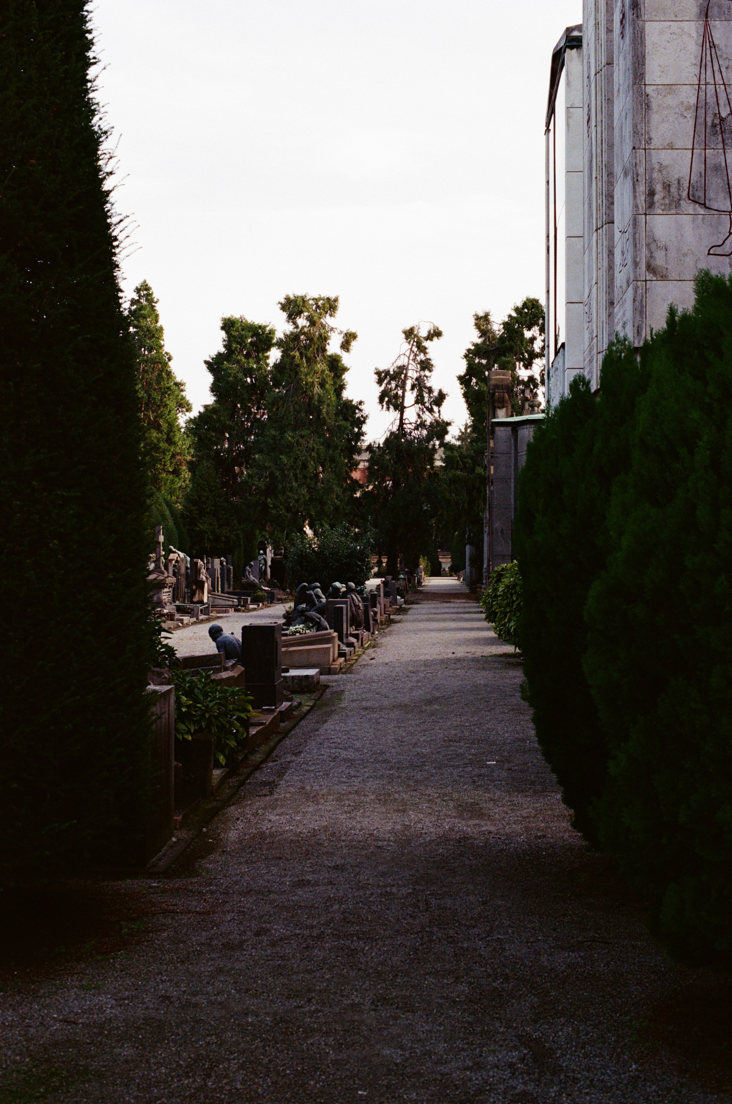 Monumentale. Anastasia Shapoval violoniste et photographe. Annecy — Geneve