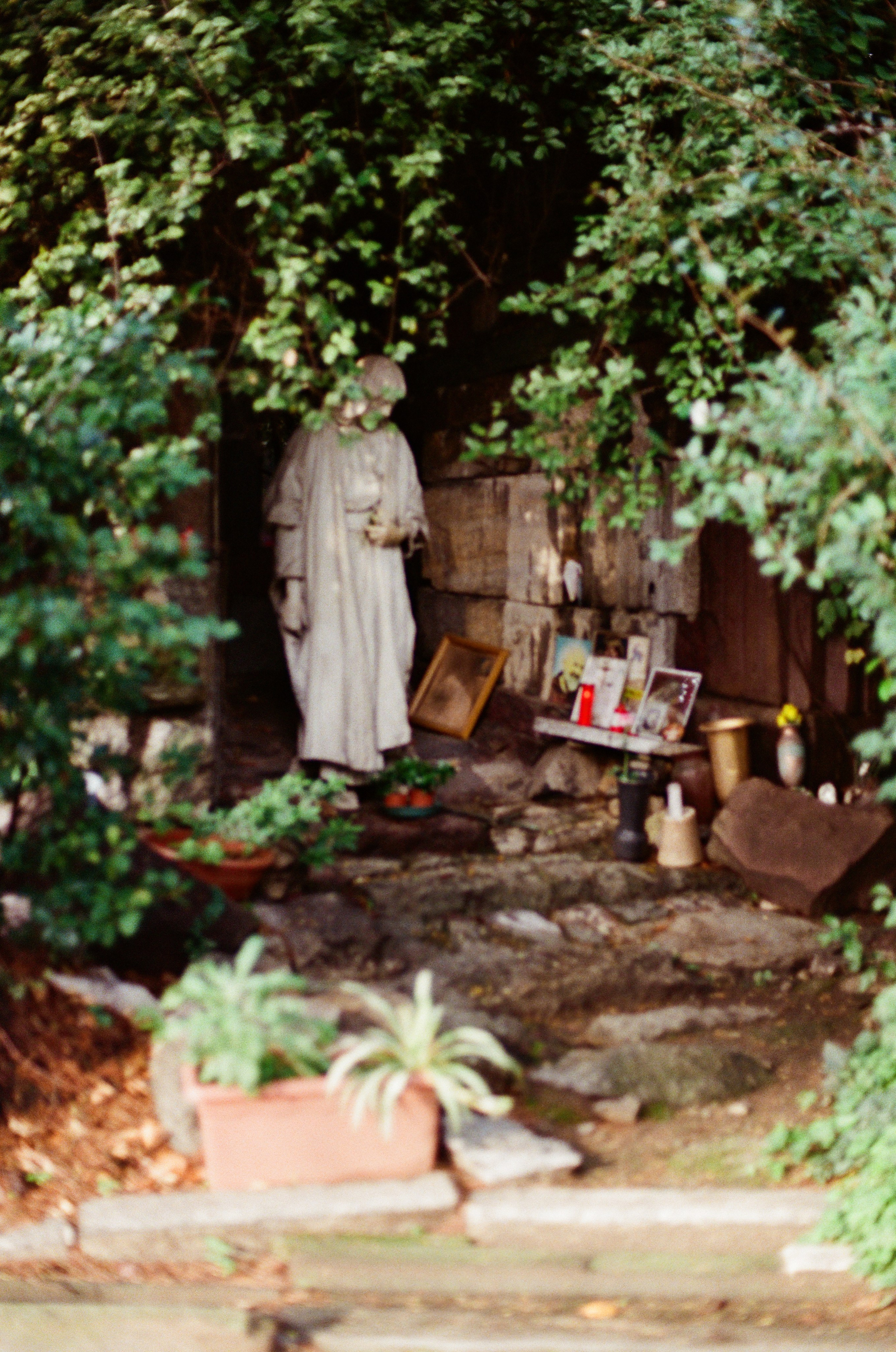 Monumentale. Anastasia Shapoval violoniste et photographe. Annecy — Geneve