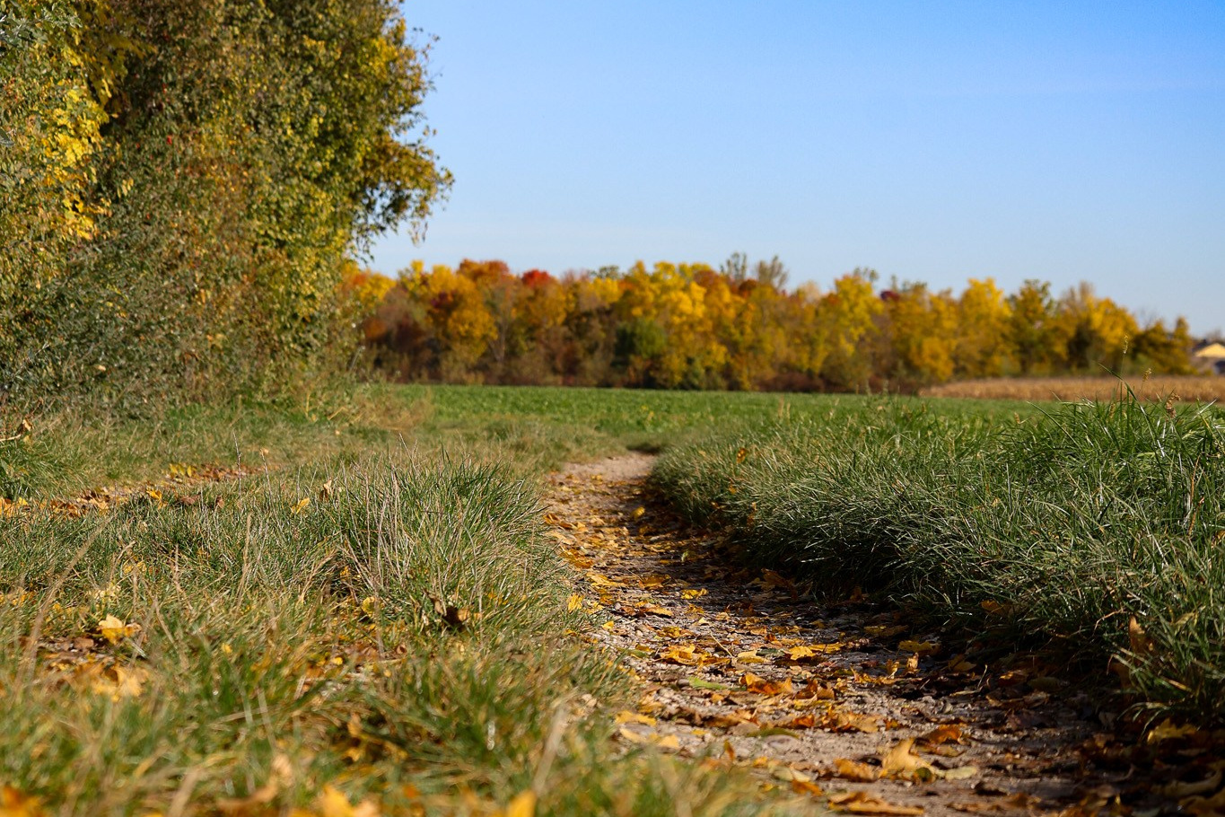 Hiking in Vienna | Wanderpass