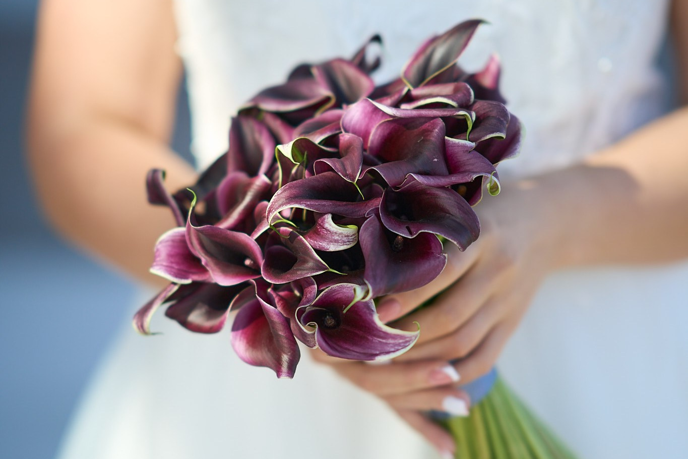 Свадебный фотограф в Таллинне