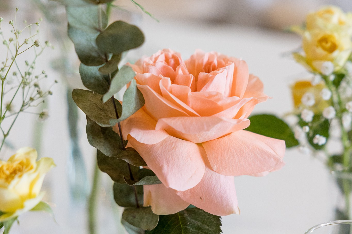 COLABORATORI. Bogdan Vancea | Fotograf Nunta Ploiești