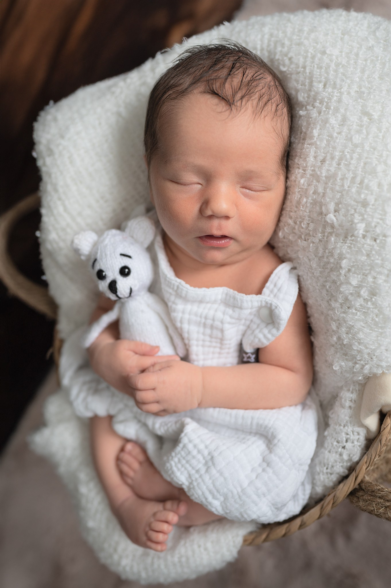 Leistungen und Preise. Tierfotografie und Familienfotografie in der Hallertau