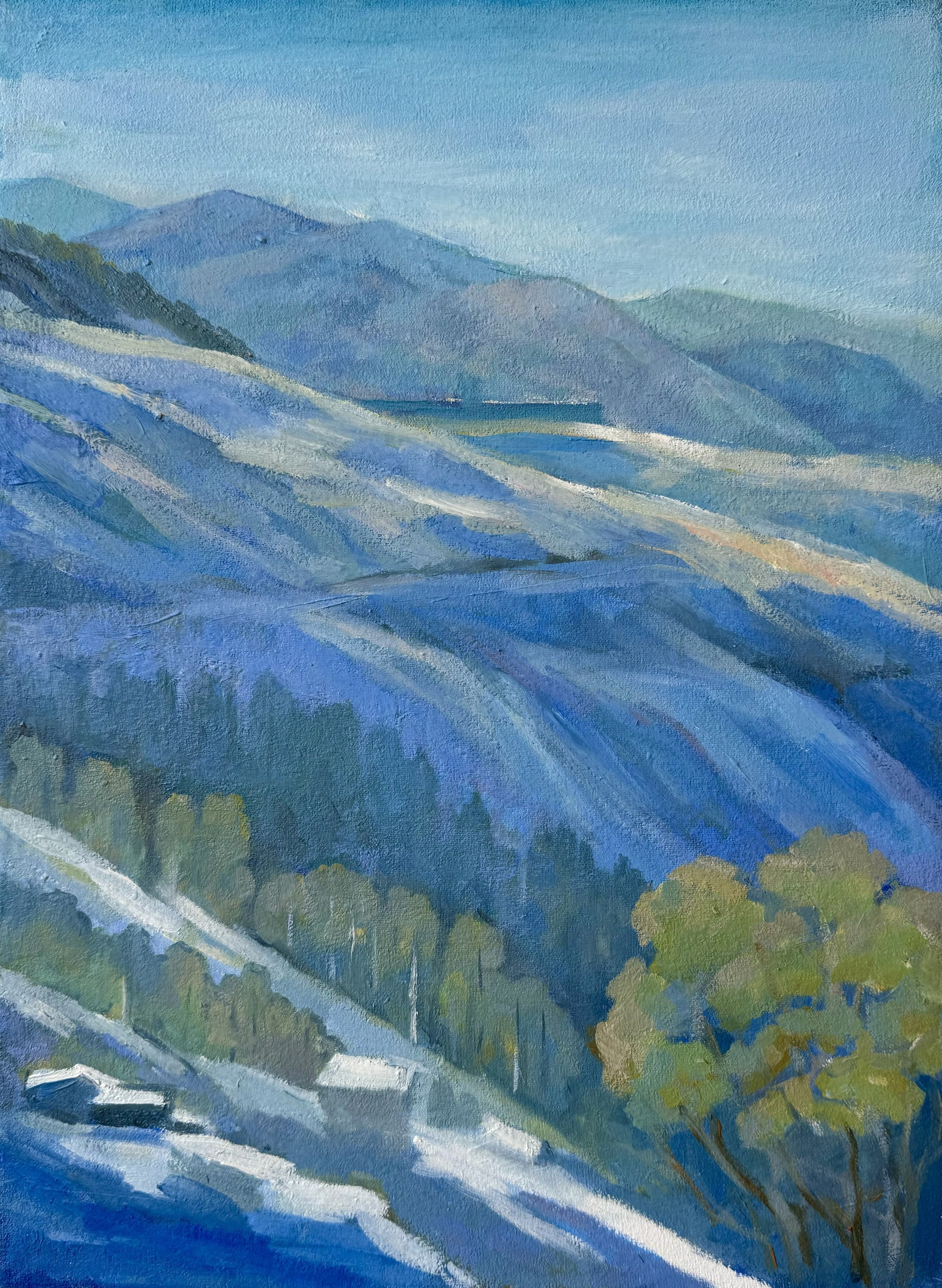 Выставка-продажа картин Ольги Савеловой. Художник живописец Савелова Ольга