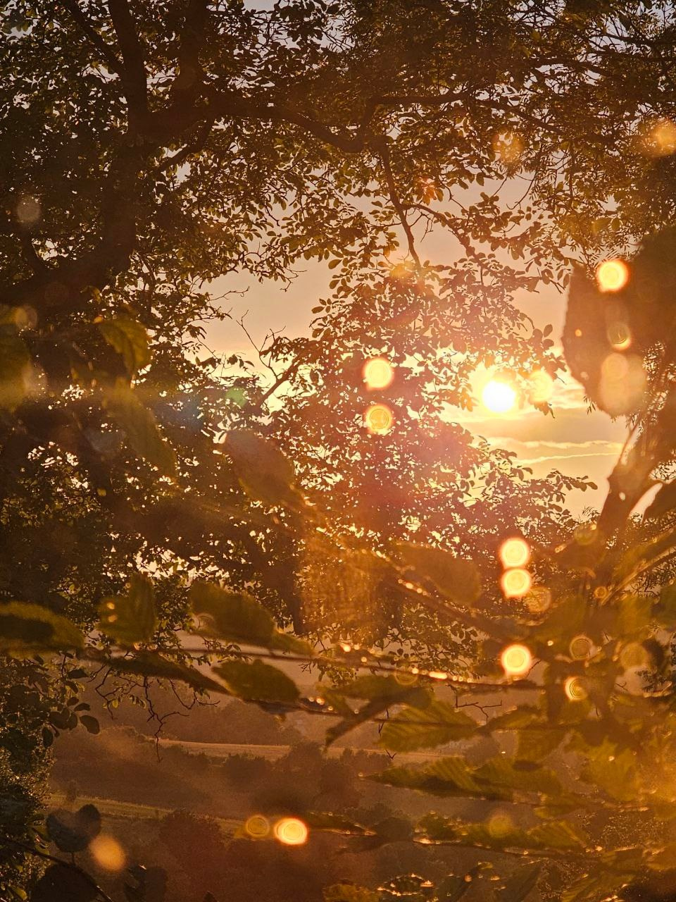 FERIENDORF JOURNAL. Schwarz-weiß Fotografie in Münster. Fotografin Viktoria Roschen