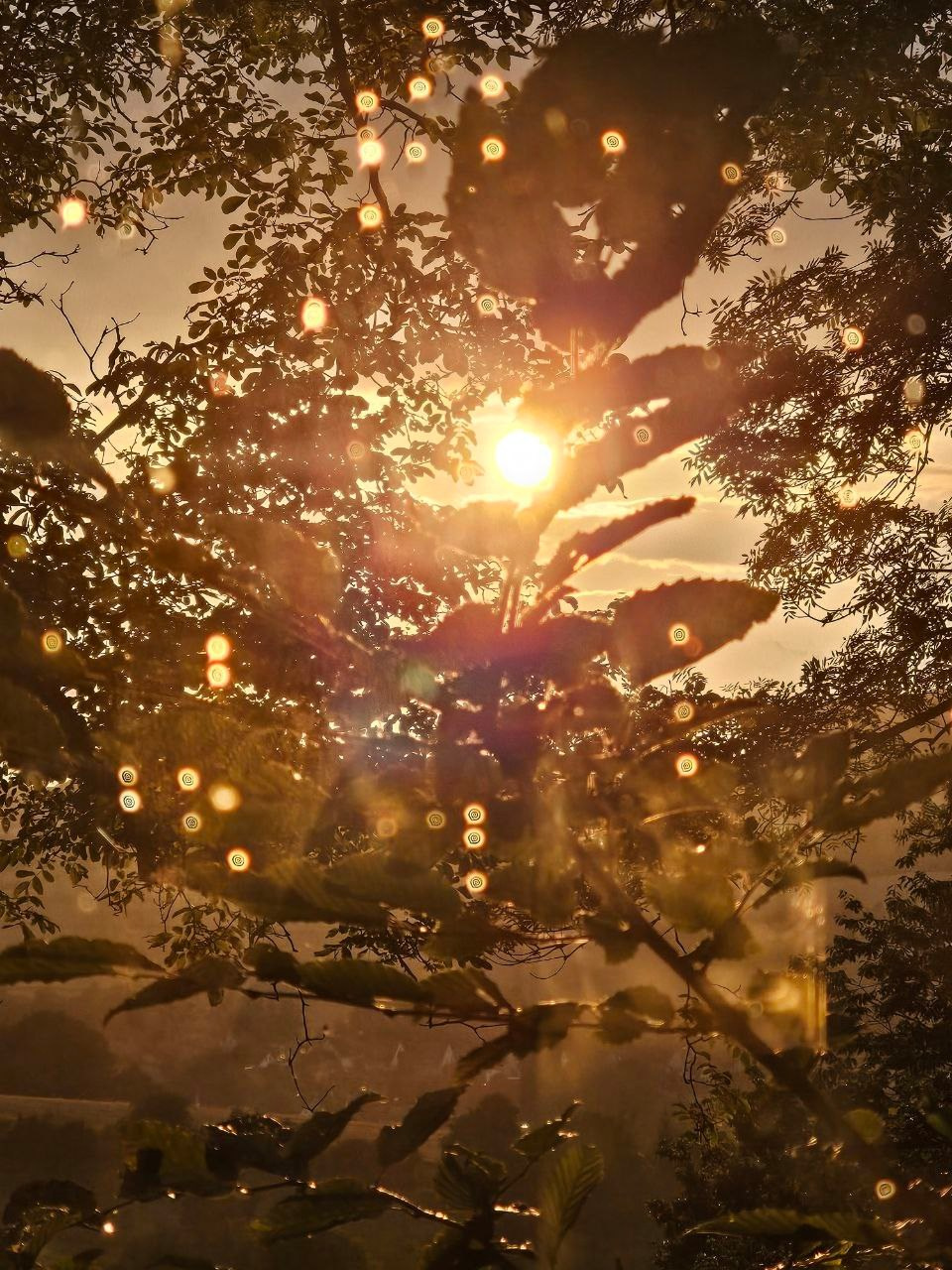 FERIENDORF JOURNAL. Schwarz-weiß Fotografie in Münster. Fotografin Viktoria Roschen