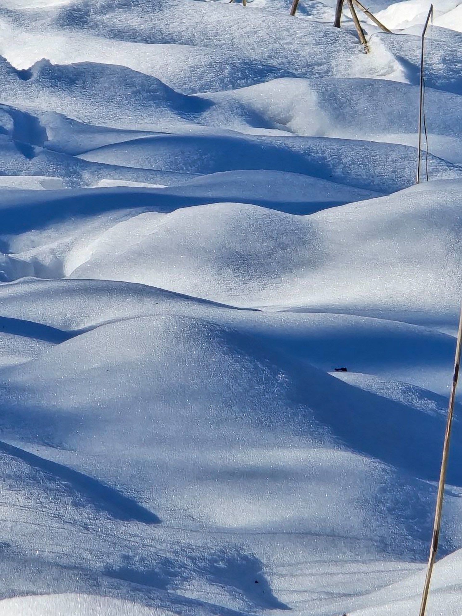 Heritage & Memory | Conceptual Immigration Photography. Natalja Poplavska — Visual artist, Photographer, East Sussex, London