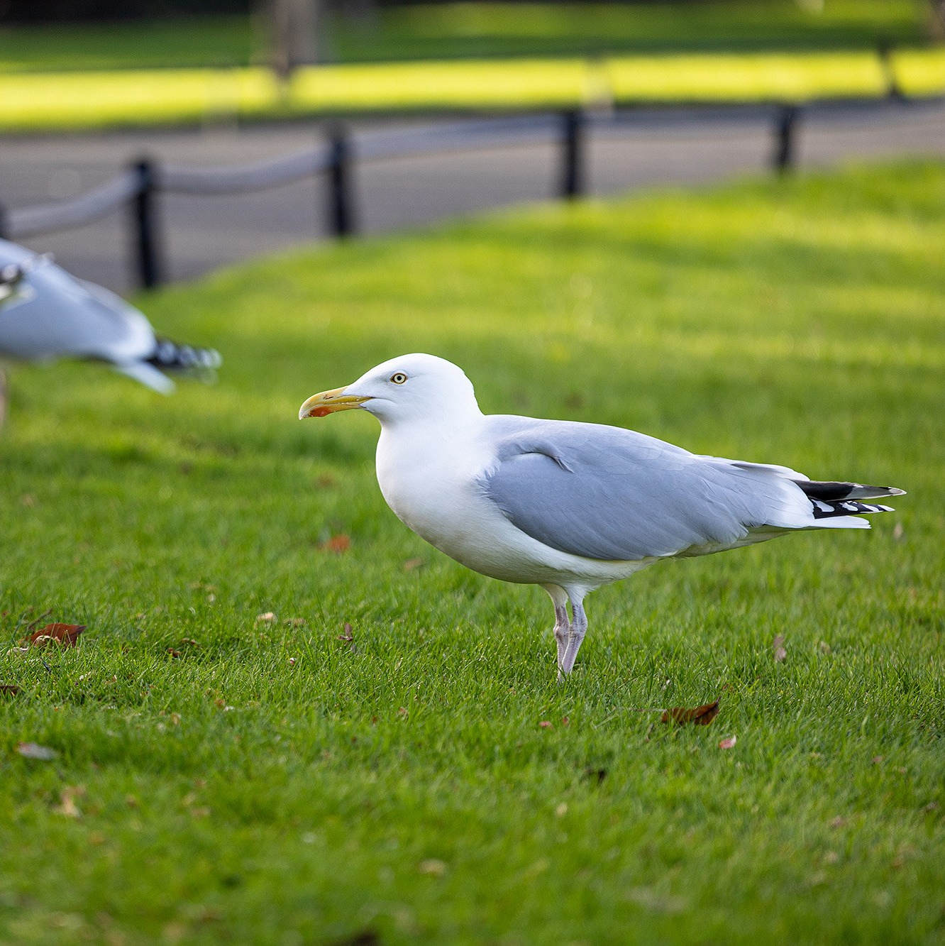 Путешествие в Ирландию с фотографом Андреем Звягинцевым — фотошкола Молдова