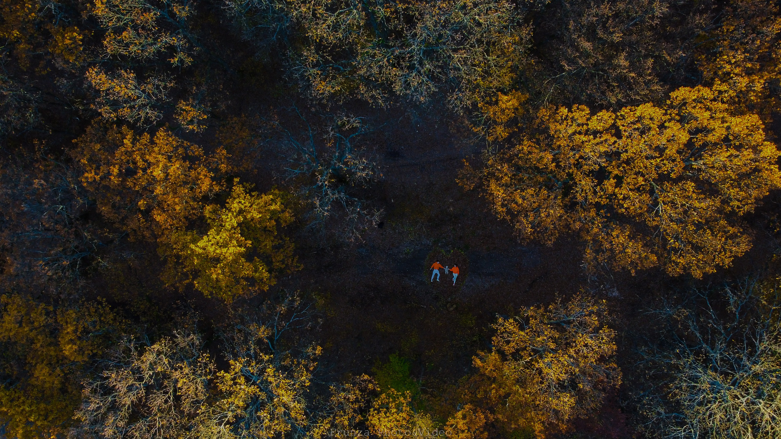 Contact. Foto / Video nunta Deva, Hunedoara