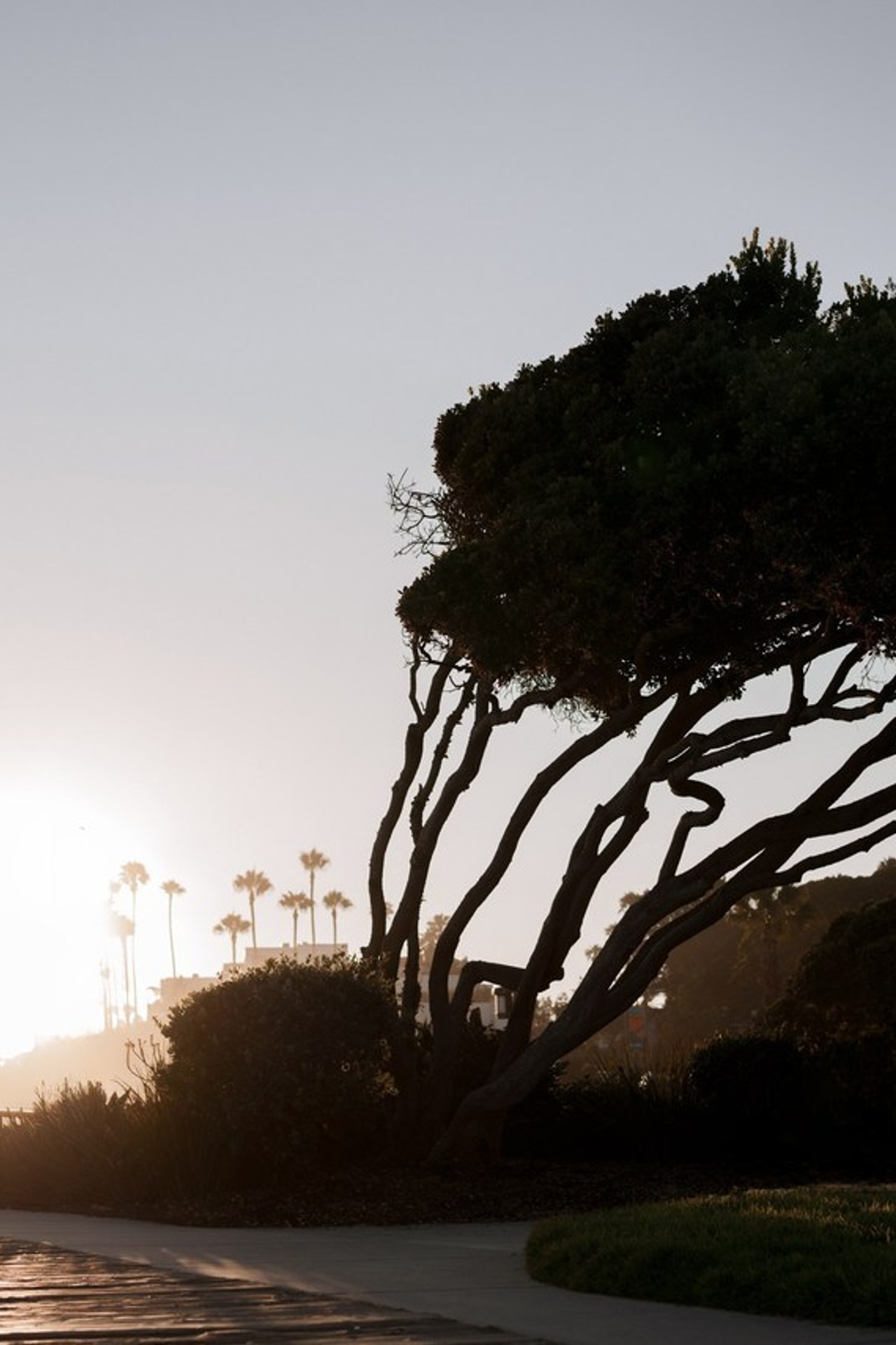 Client Reviews — Italiantsev Photography & Videography. Orange County Wedding Photographer & Videographer | Candid & Timeless Wedding Photo + Video | Italiantsev