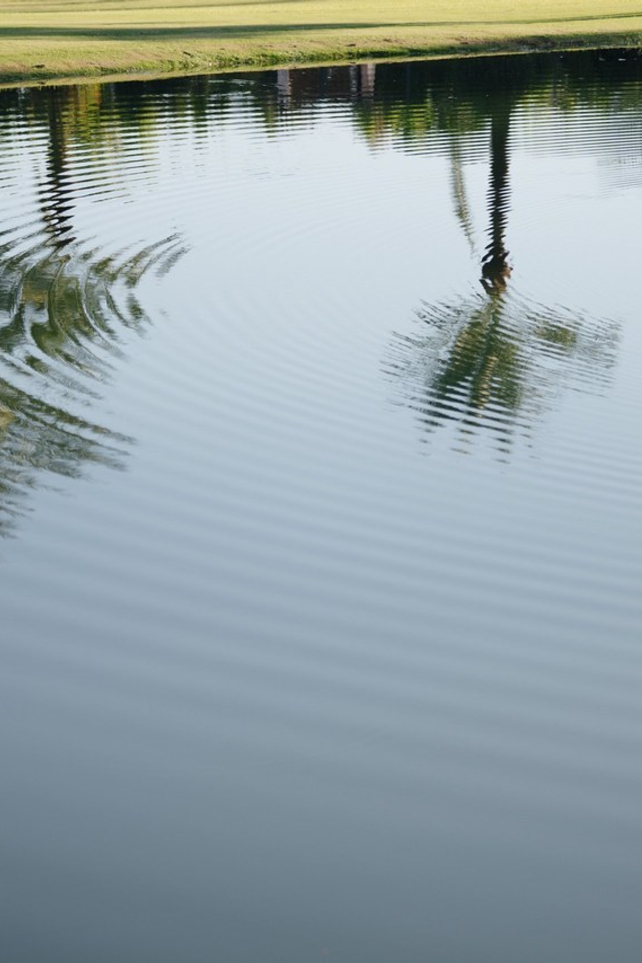 Client Reviews — Italiantsev Photography & Videography. Orange County Wedding Photographer & Videographer | Candid & Timeless Wedding Photo + Video | Italiantsev