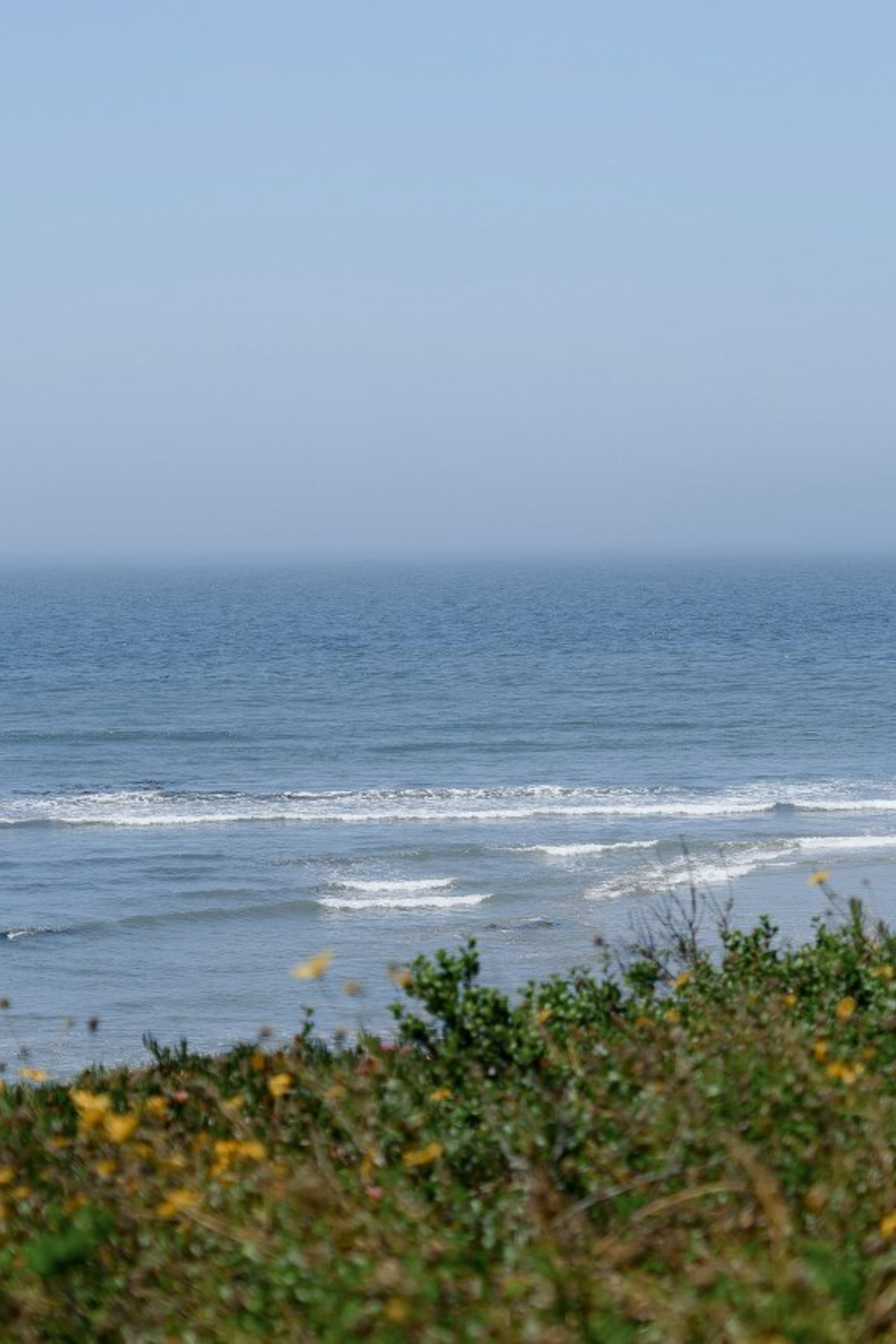 Client Reviews — Italiantsev Photography & Videography. Orange County Wedding Photographer & Videographer | Candid & Timeless Wedding Photo + Video | Italiantsev