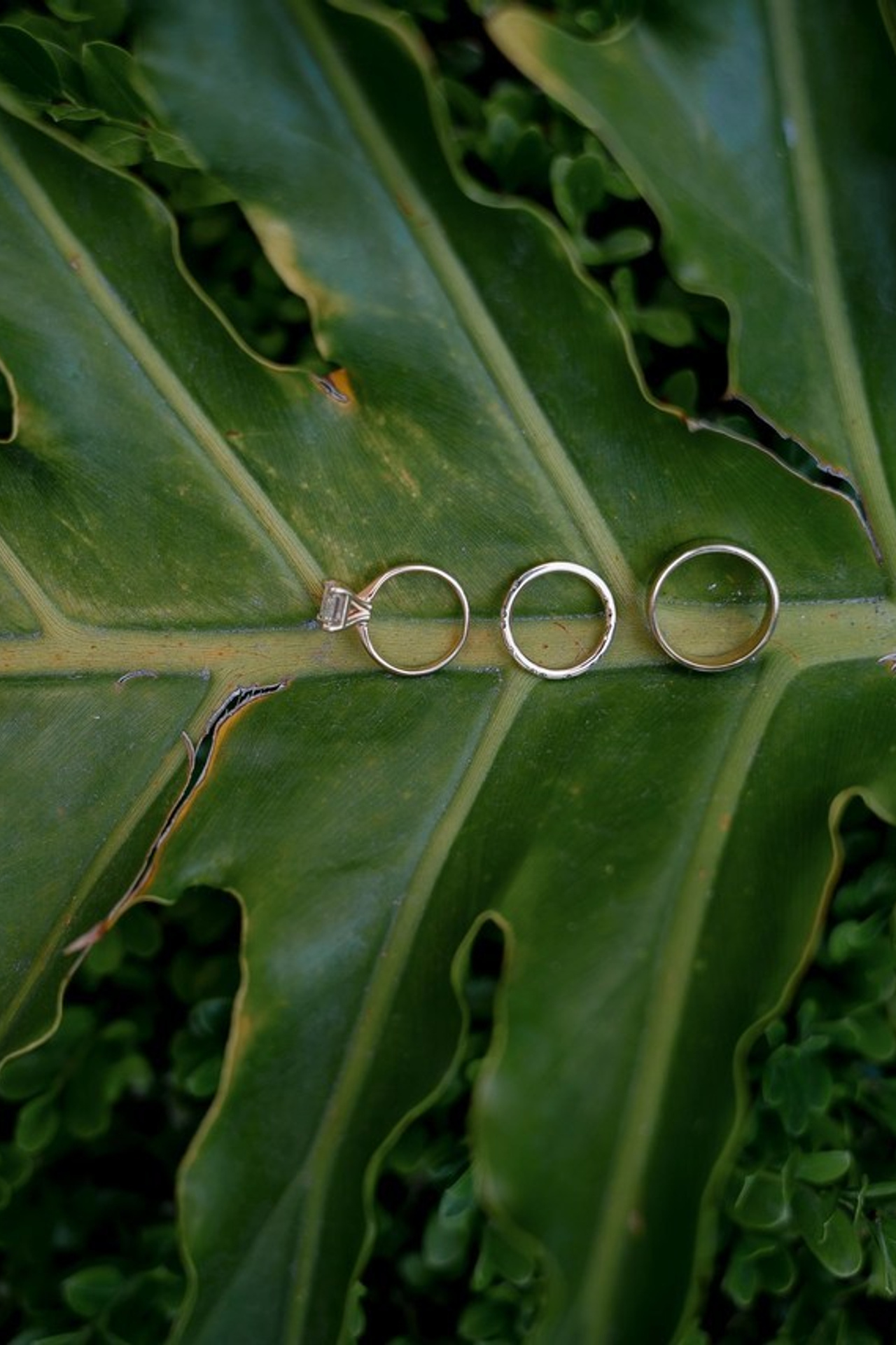 Client Reviews — Italiantsev Photography & Videography. Orange County Wedding Photographer & Videographer | Candid & Timeless Wedding Photo + Video | Italiantsev