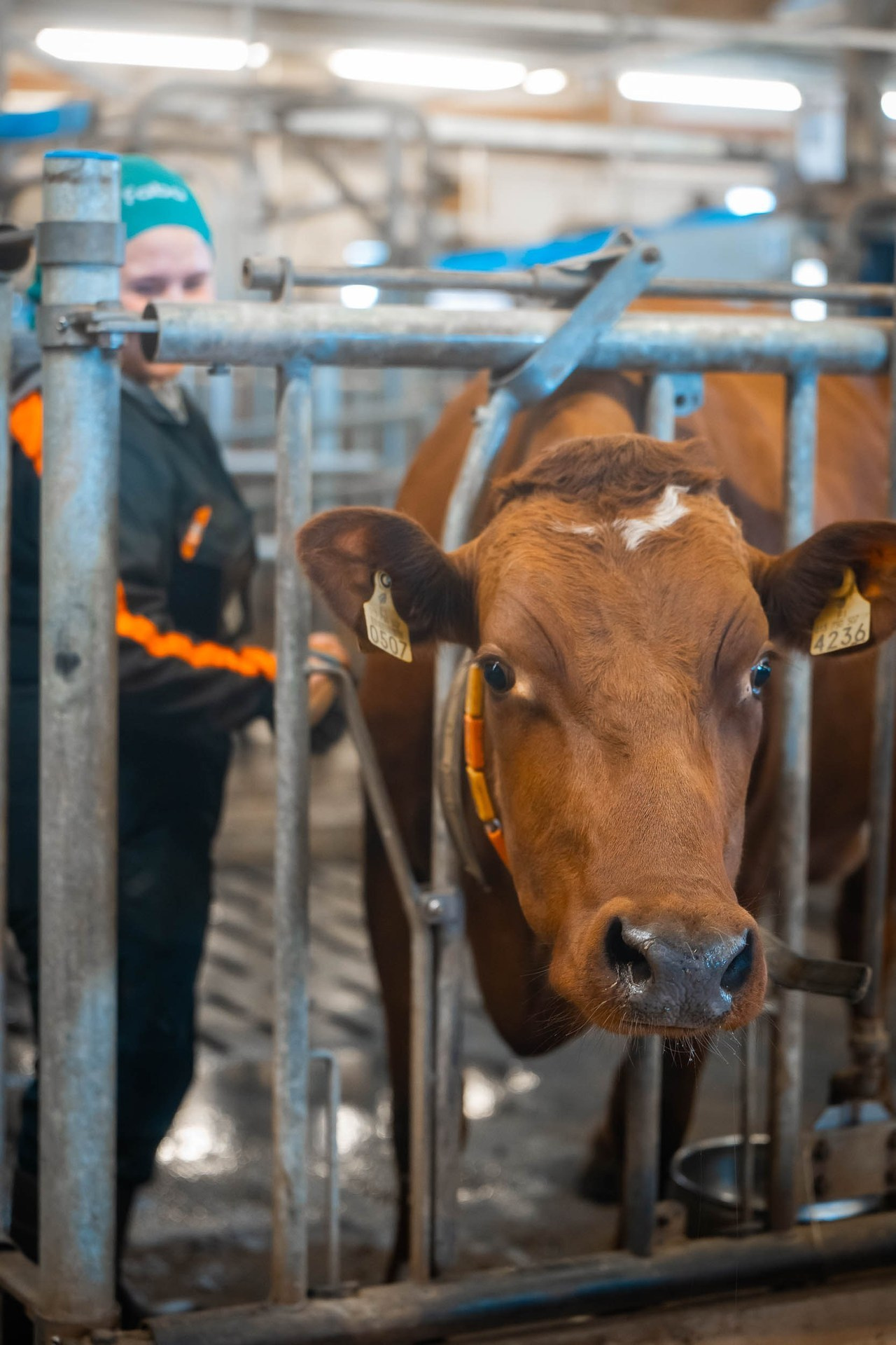 Asiakkaidemme suosittelut. Kinosura Creative Studio Helsingissa ja Kuopiossa