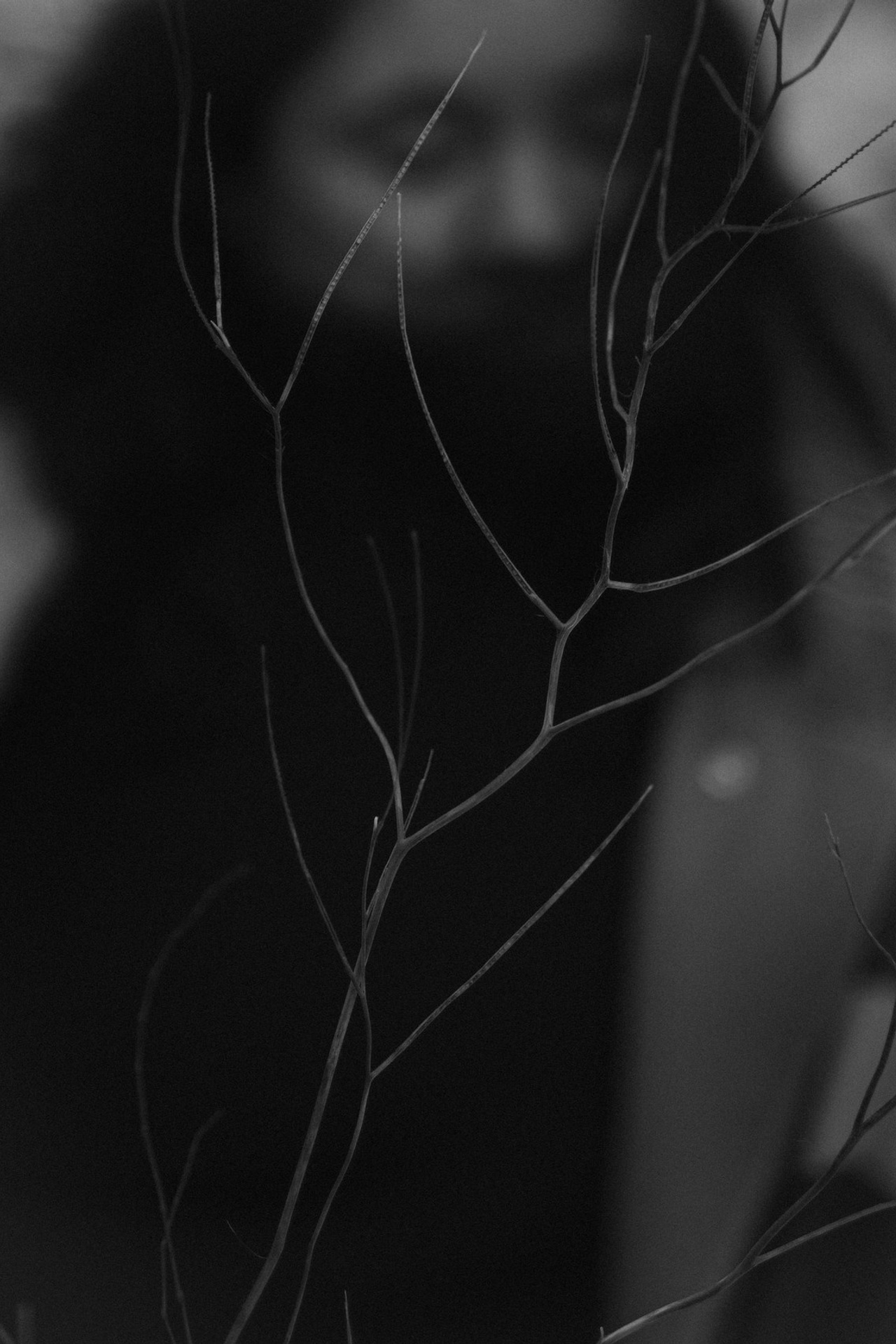 Tagasiside. Meeste ja naiste fotograaf Tallinnas Anna Sipari