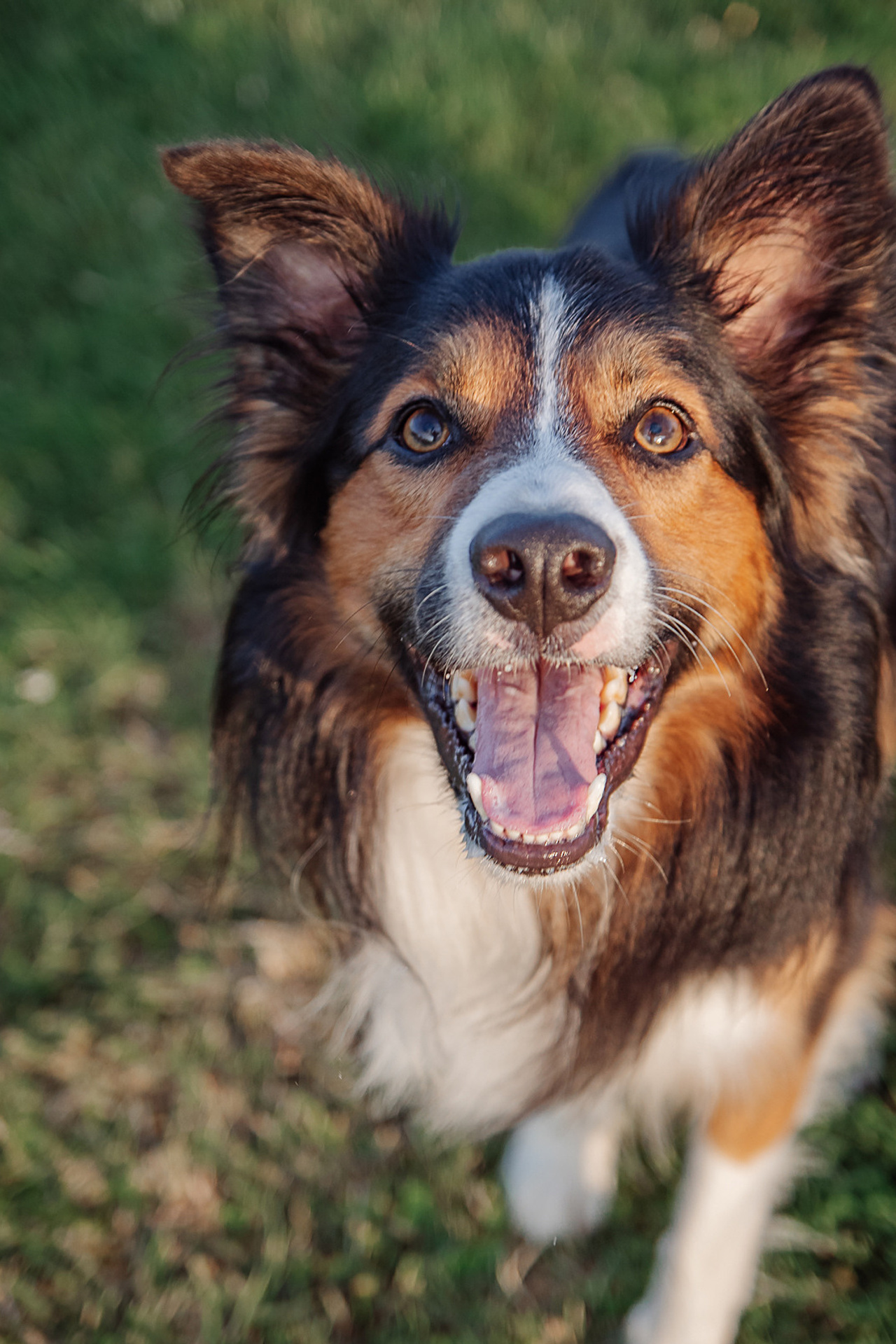 Wedding photographer in Waterford Kilkenny Wexfor in Waterford Ireland. Katerina Siviene is a Lithuanian wedding and family photographer based in Waterford city, Ireland