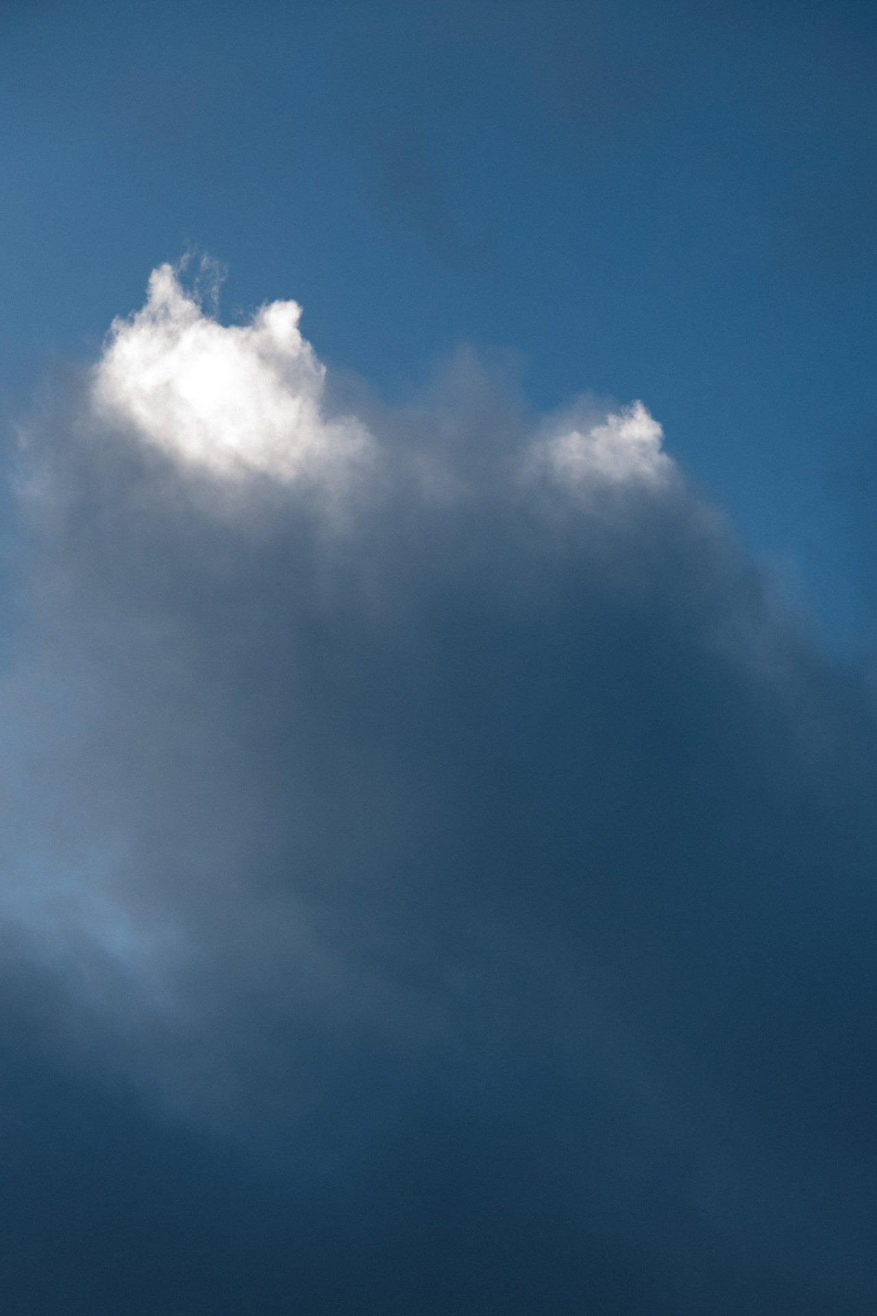 Reviews | Family Photographer in London and Kent