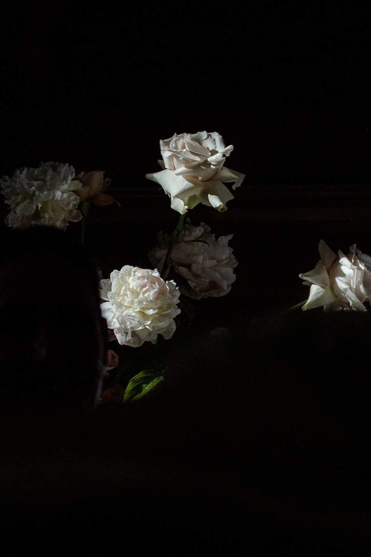 Portfolio. Fotografo Matrimoni Marche — Davide Vichi | Wlab 192