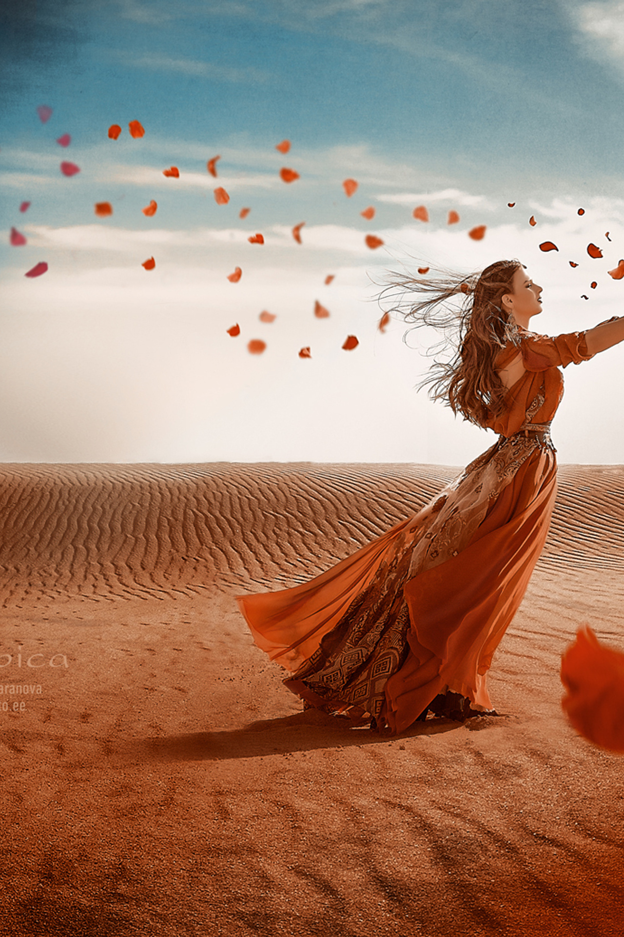 Arabica (5 фото)