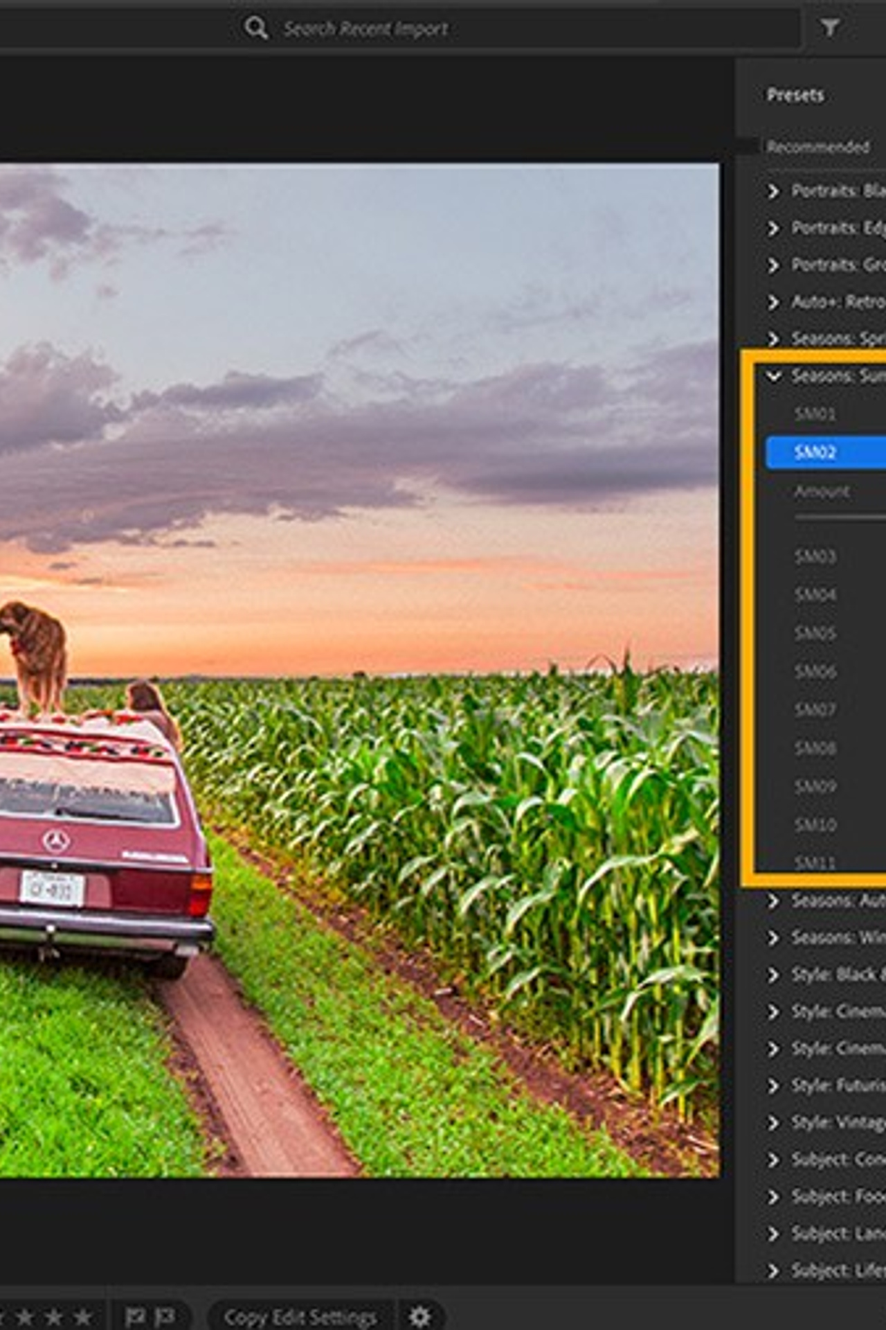 בלוג צילום. יותם שחר צילום ועריכה