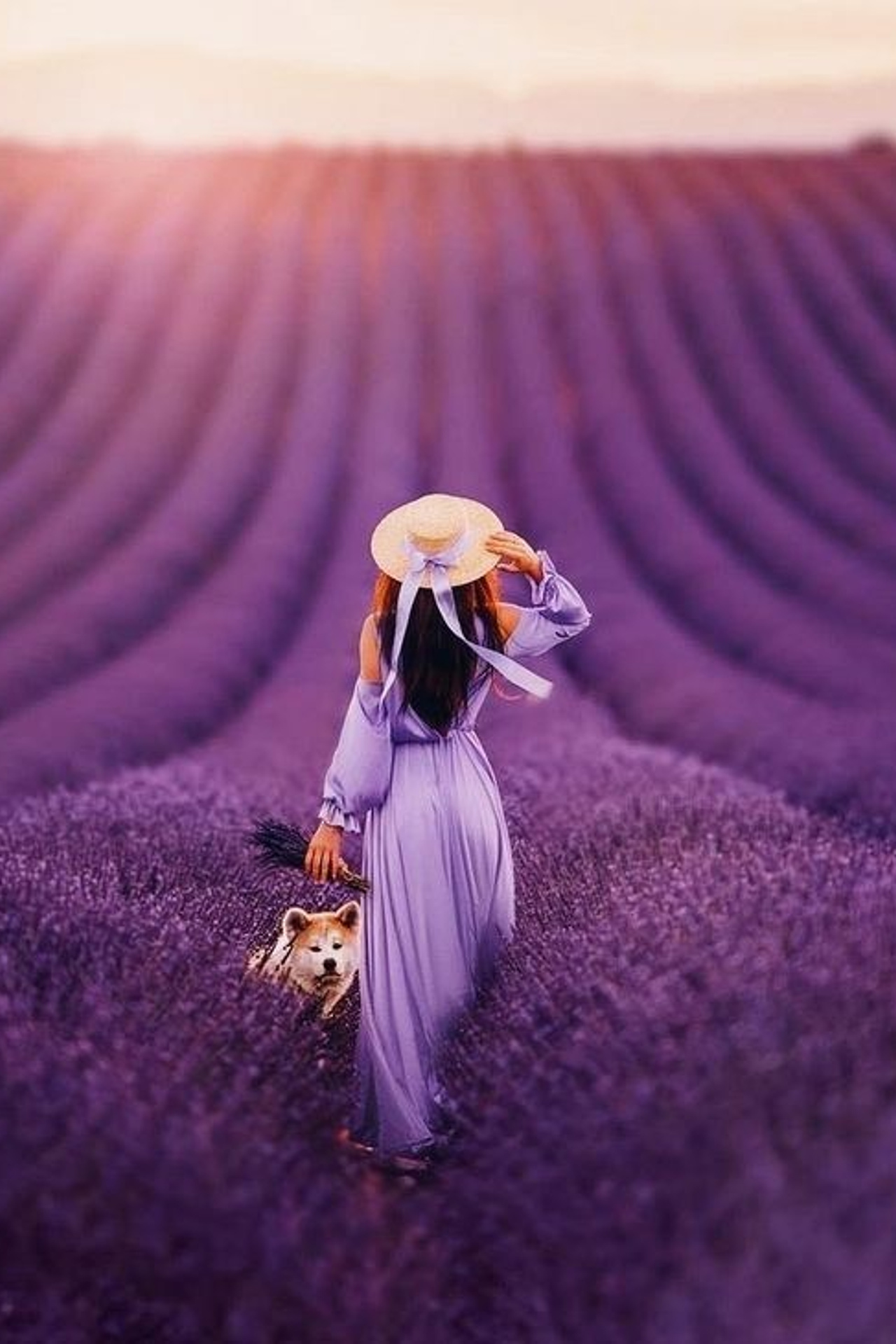 Carnet de bord. Viktoria photo marseille