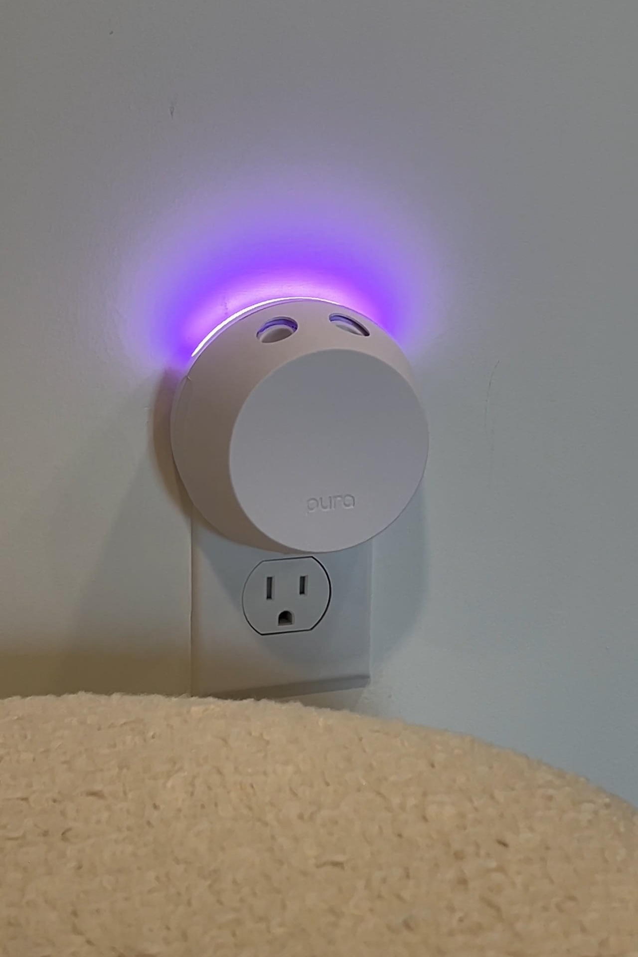 Products. UGC Creator in Miami | Ann