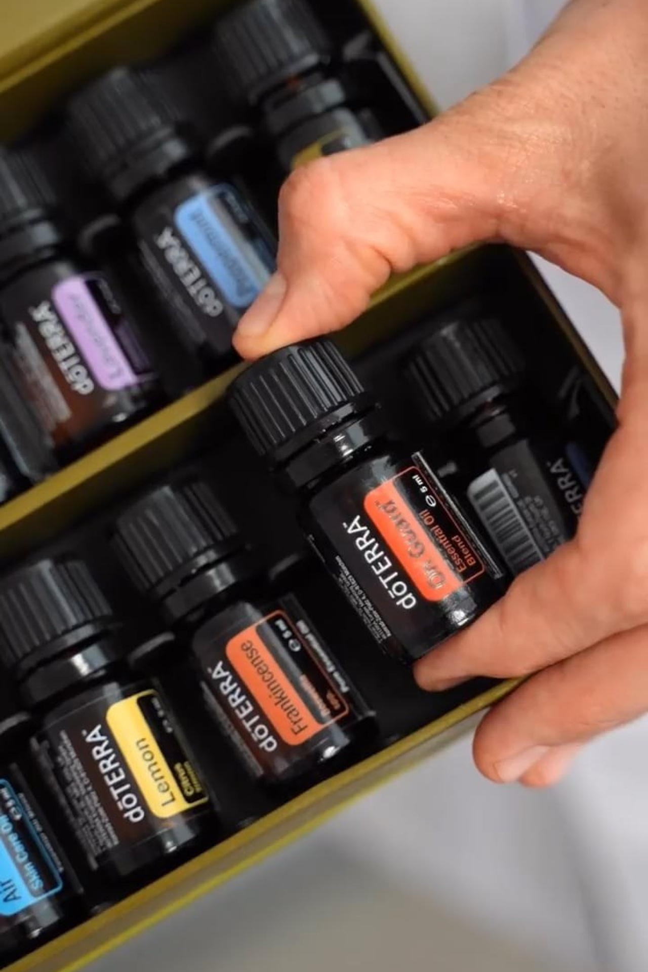 Services & Business Videos by Ann | Creative Portfolio Showcase. UGC Creator in Miami | Ann